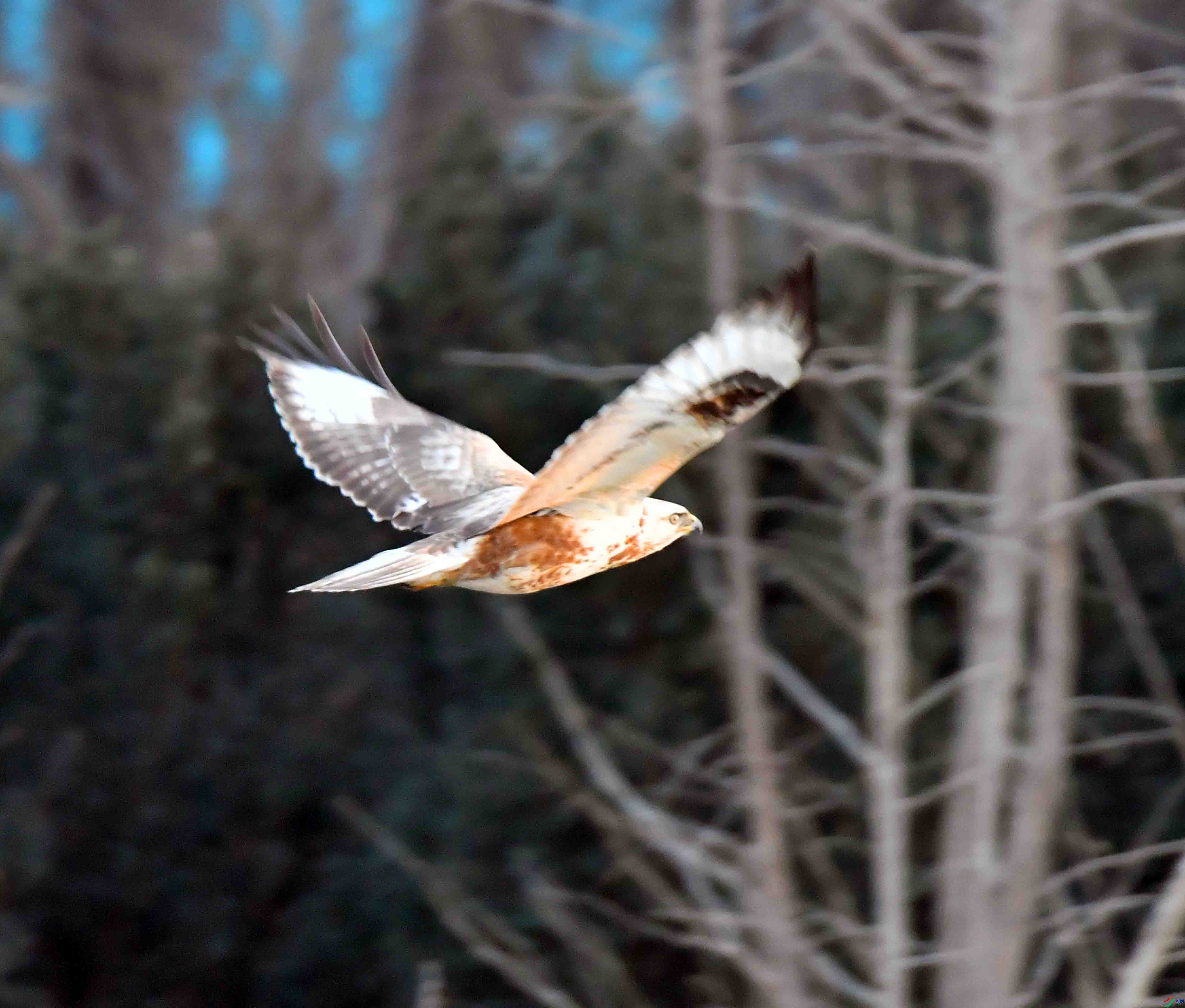 DSC_8682.JPG
