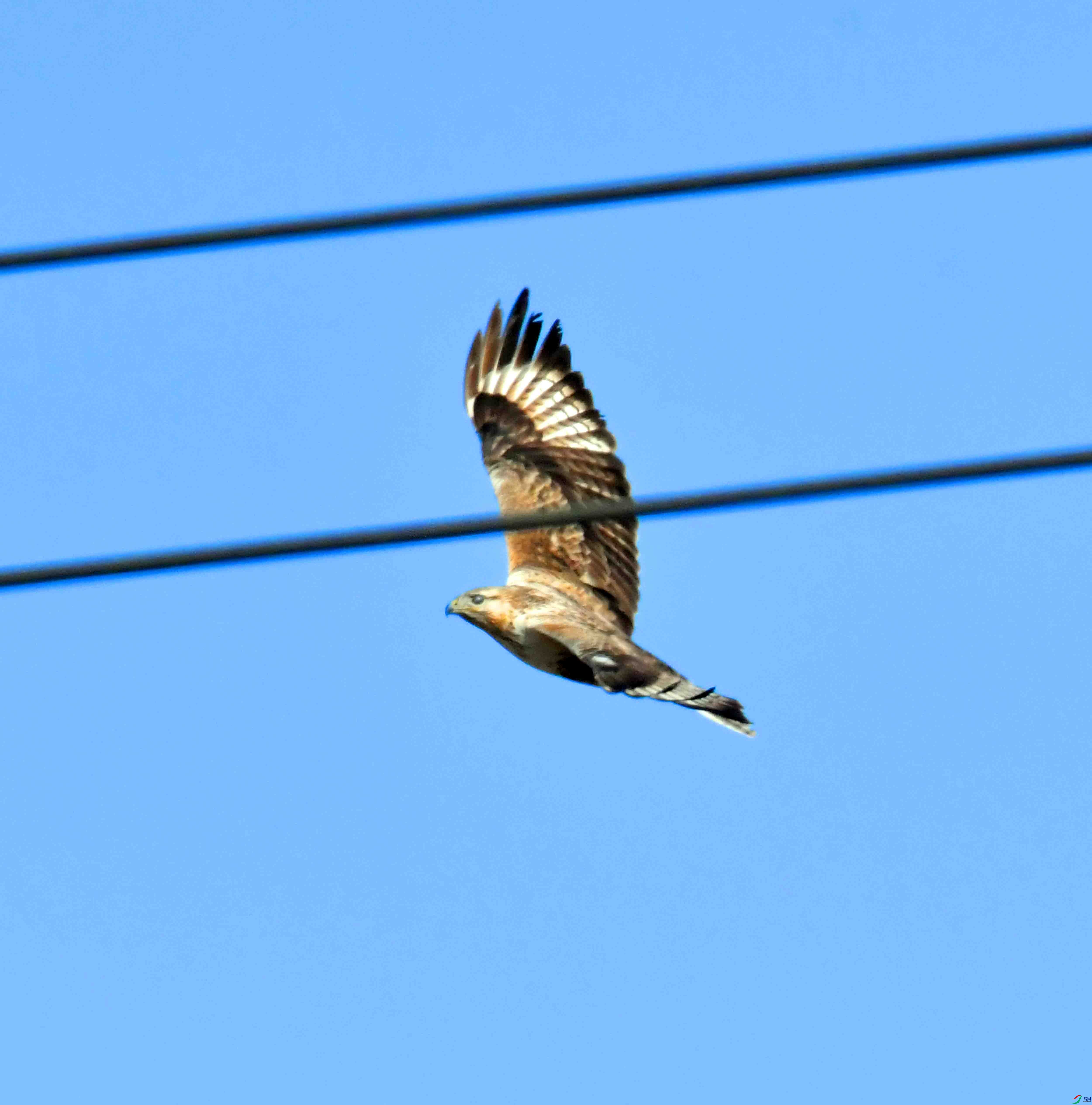 DSC_5029.JPG