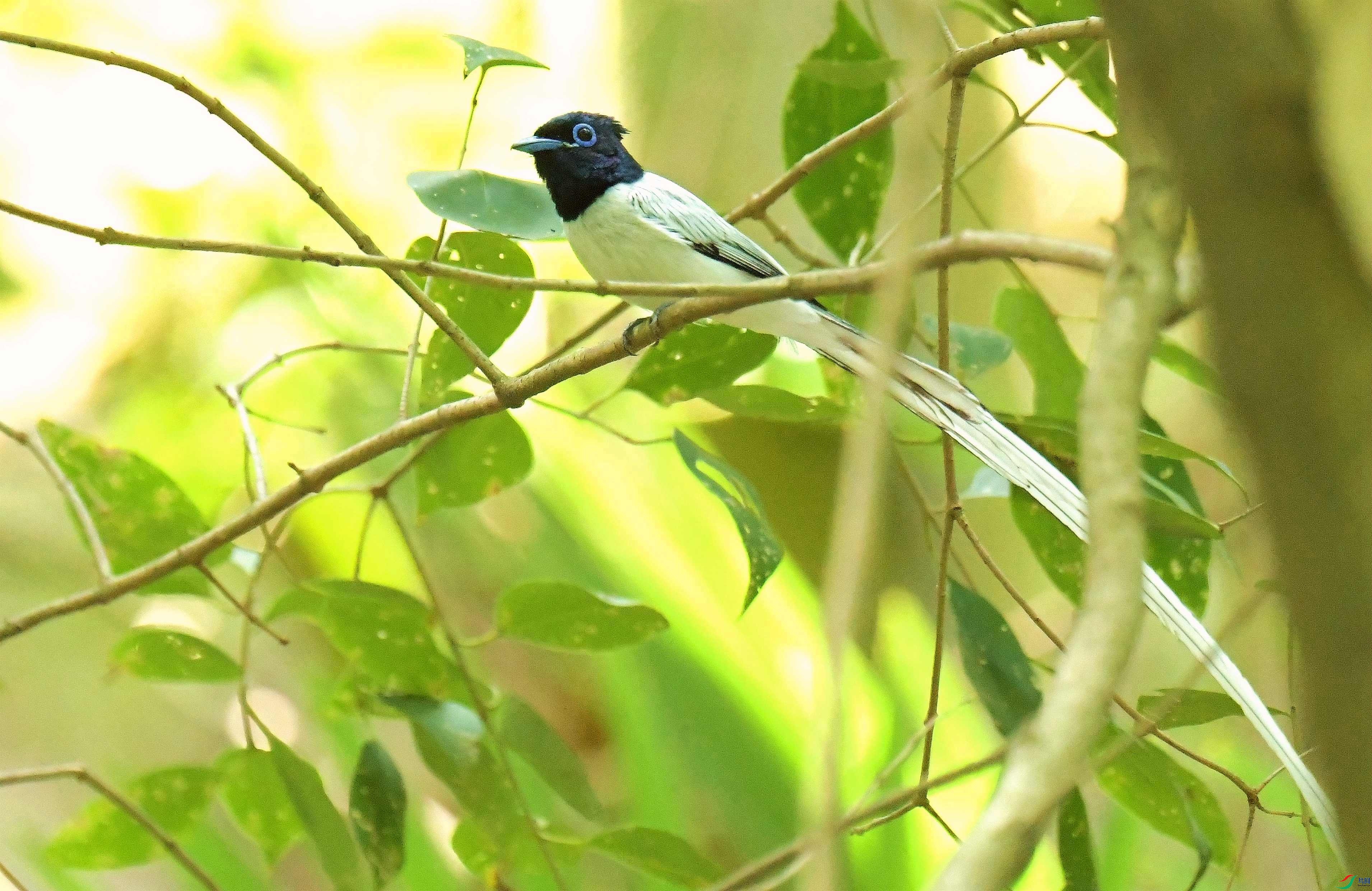 DSC_7014.JPG