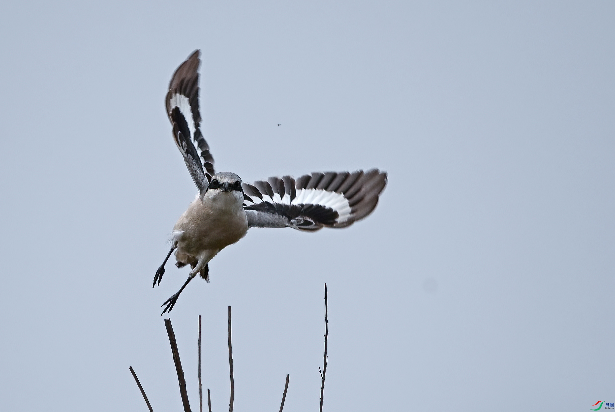 DSC_5456.JPG