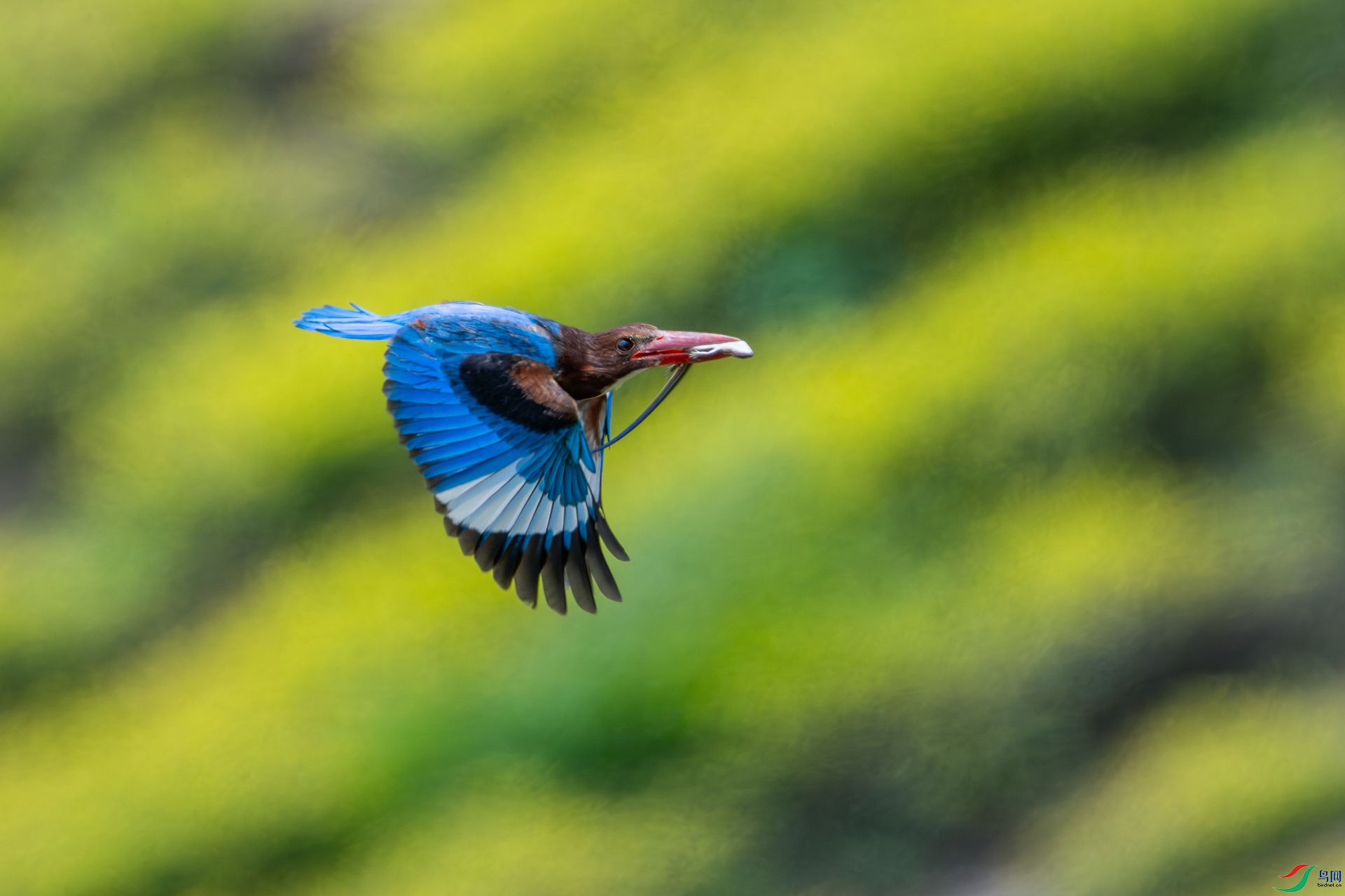 _DSC4880 ����_1.jpg