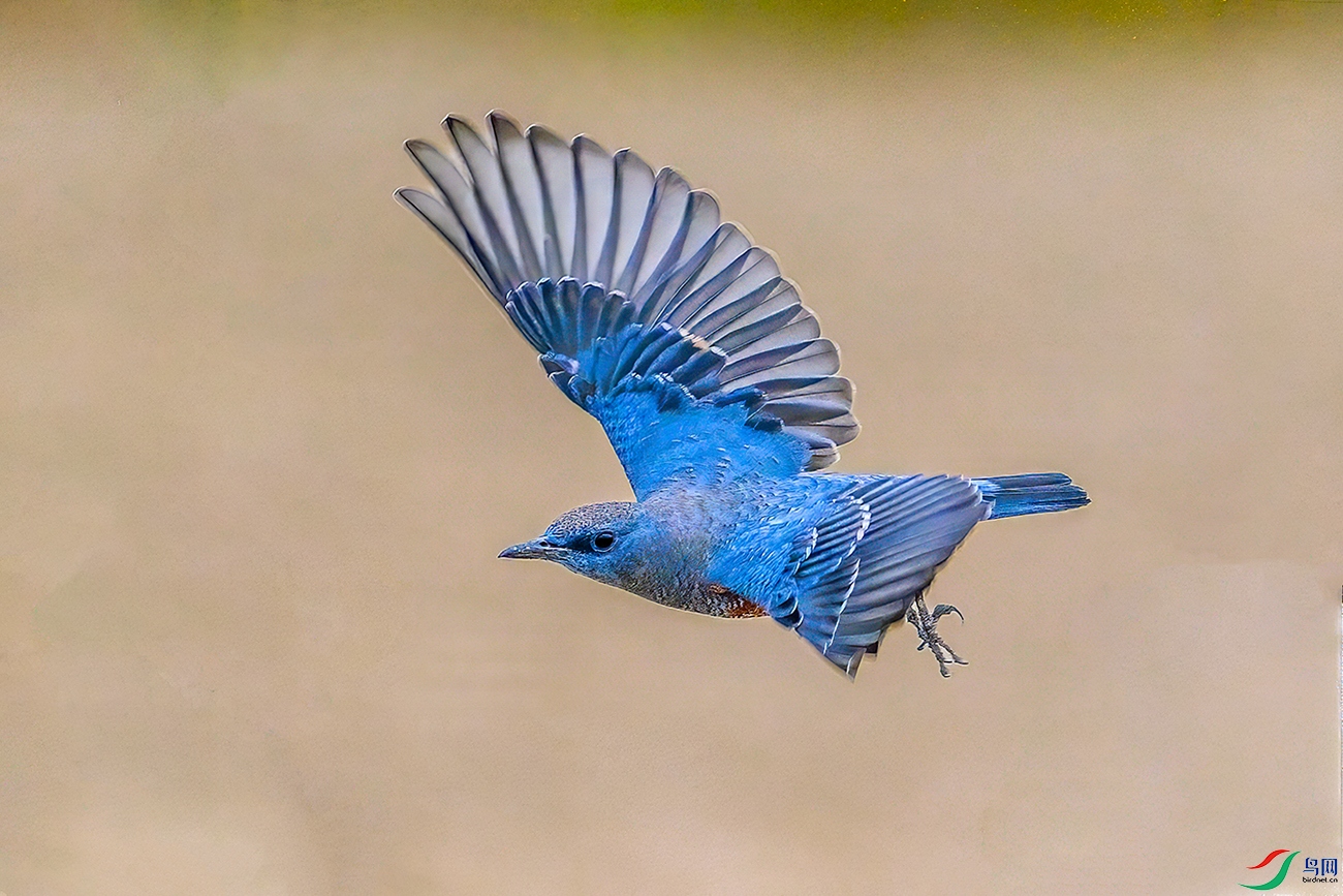 DSC_2357b.jpg
