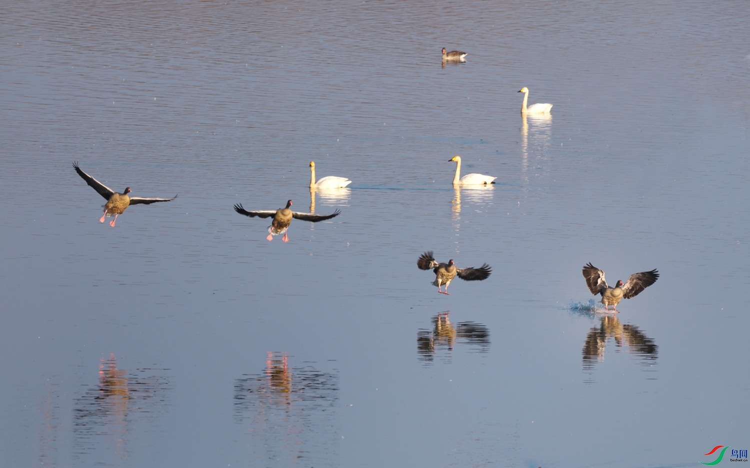 DSCF8559.jpg