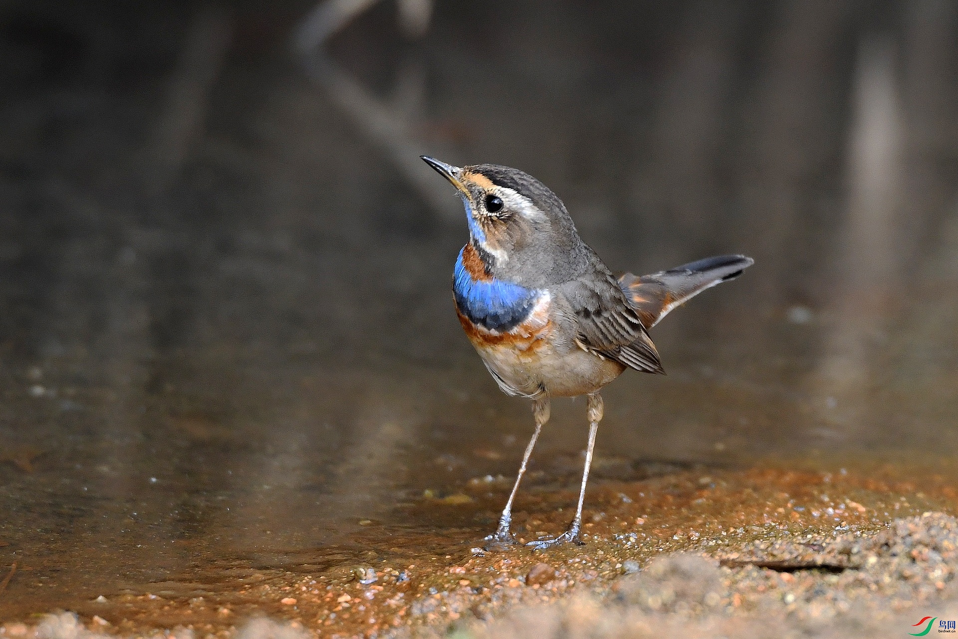 DSC_6658.jpg