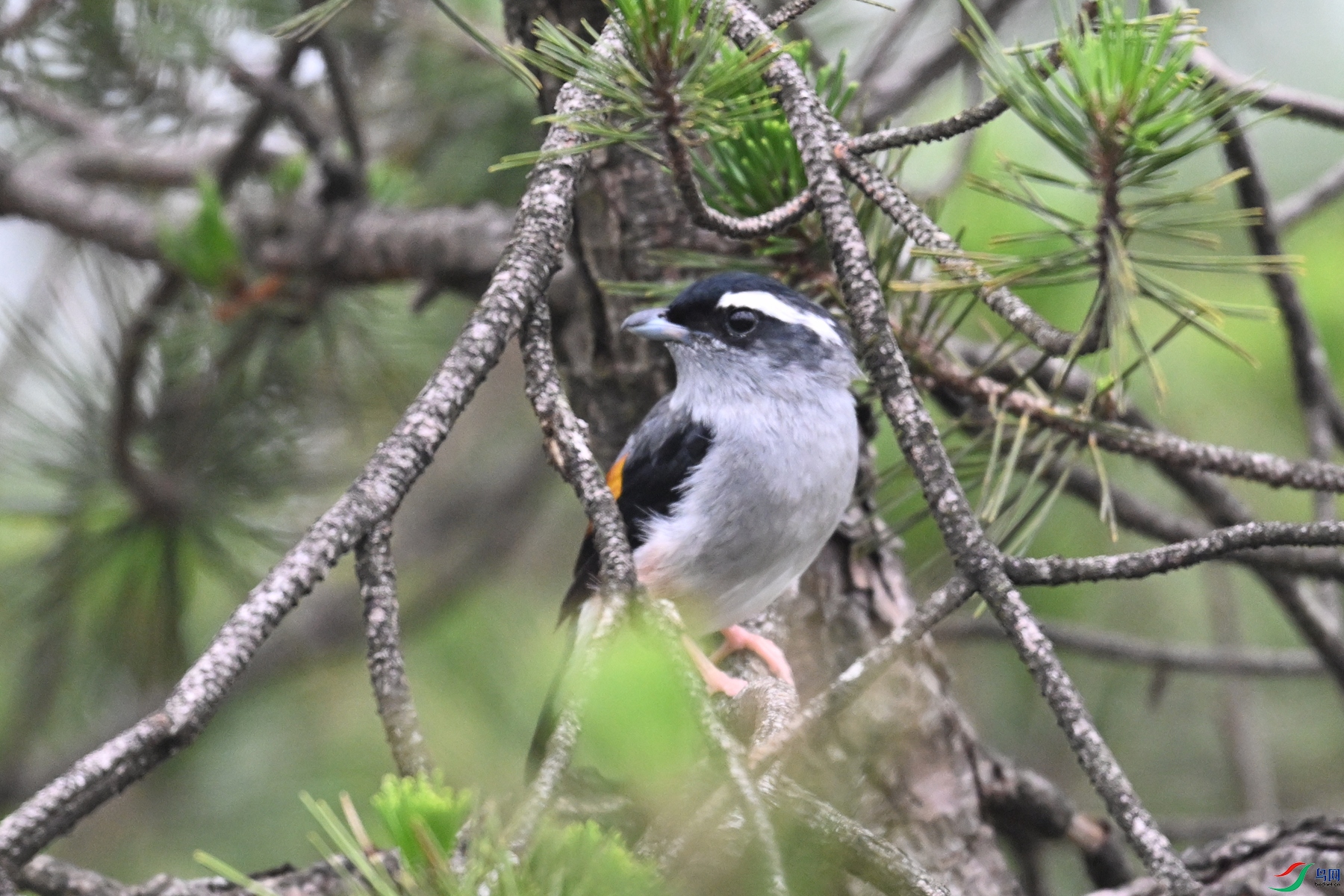 DSC_0947.JPG