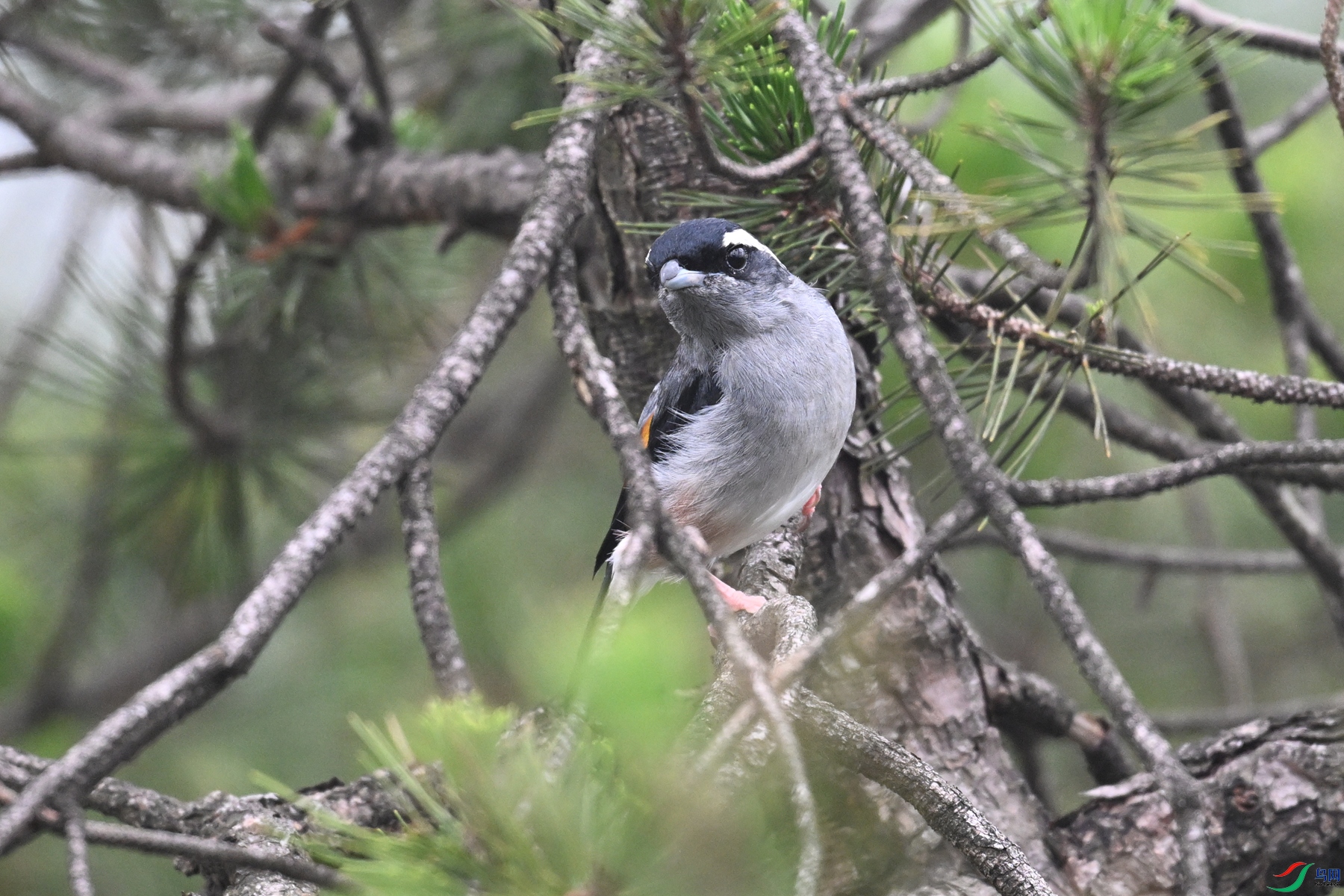 DSC_0951.JPG