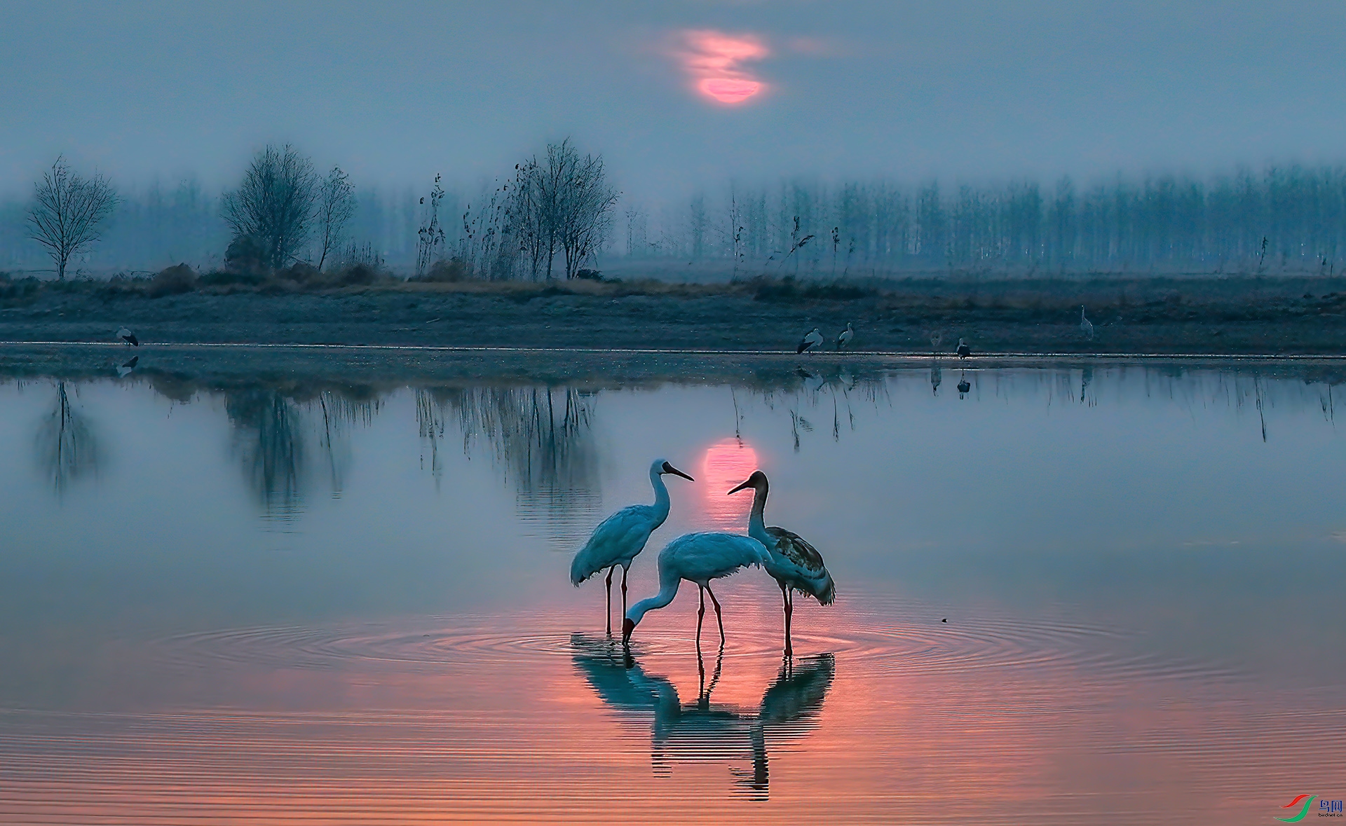 DJI_20250120072329_0016_D ����-Sh----33  .jpg