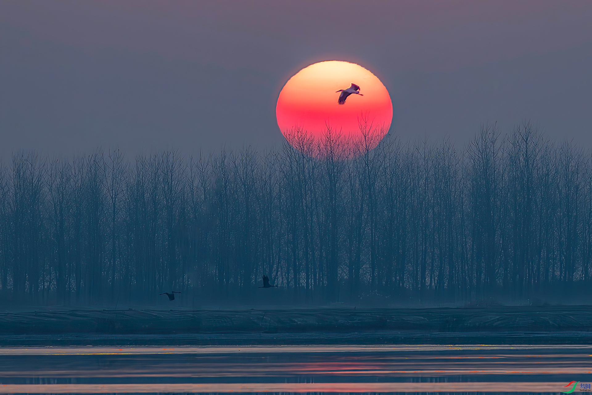 _60A6735-����ǿ-NR ����-Sh----33  .jpg