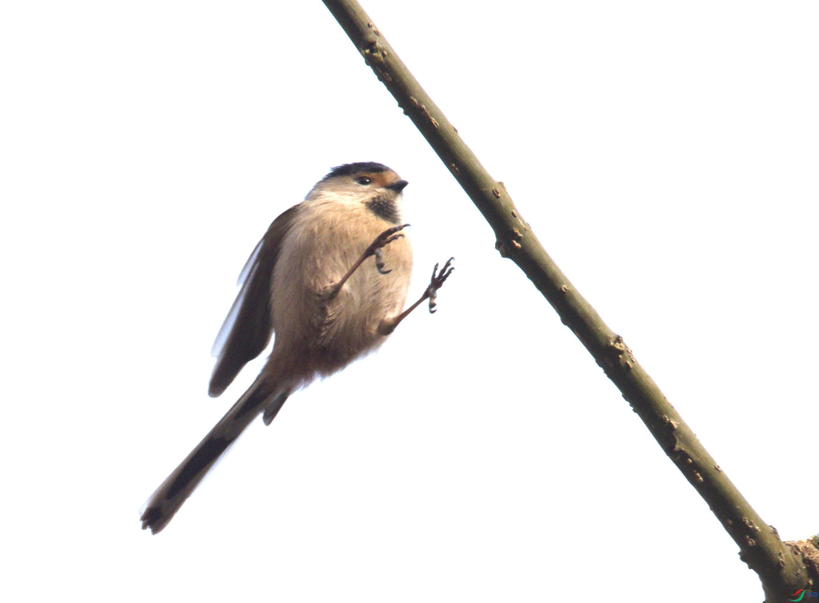 P1250088_����.jpg