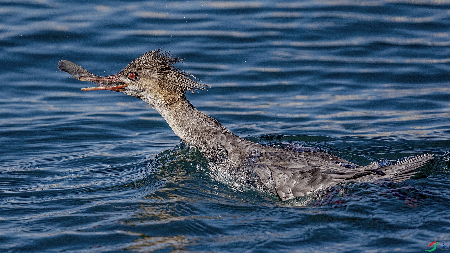 _90I7241 ���� 2.jpg