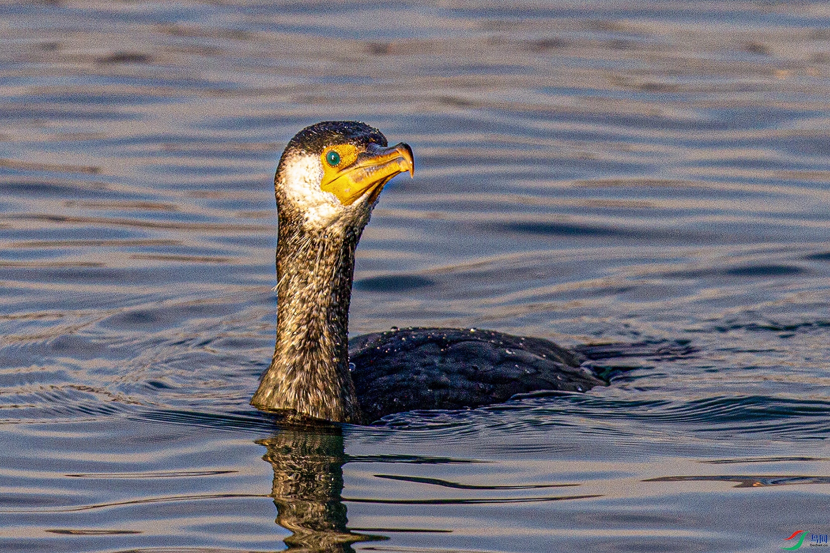 _MG_9280 ���� 2.jpg