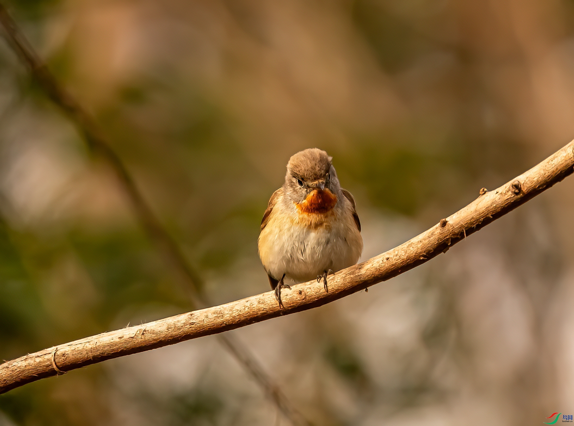 DSC_7766-1.jpg