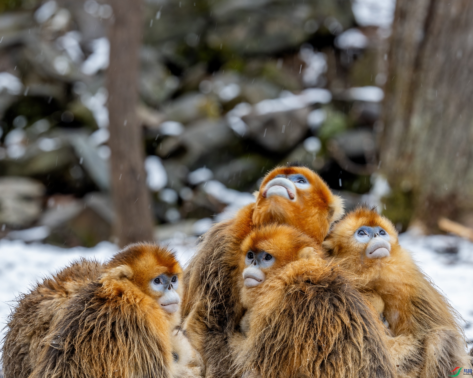 DSC_1491-1.jpg
