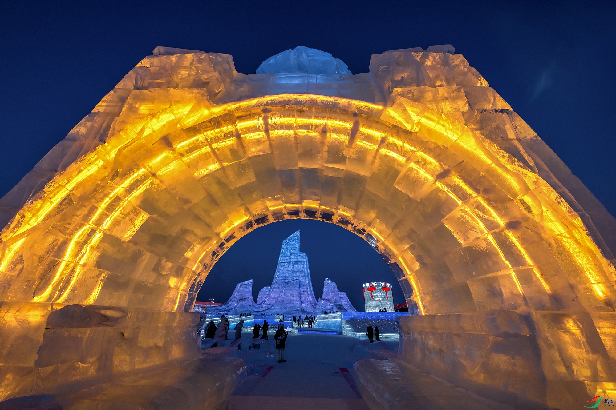 NIKON Z 9_20260120_162901-1.jpg