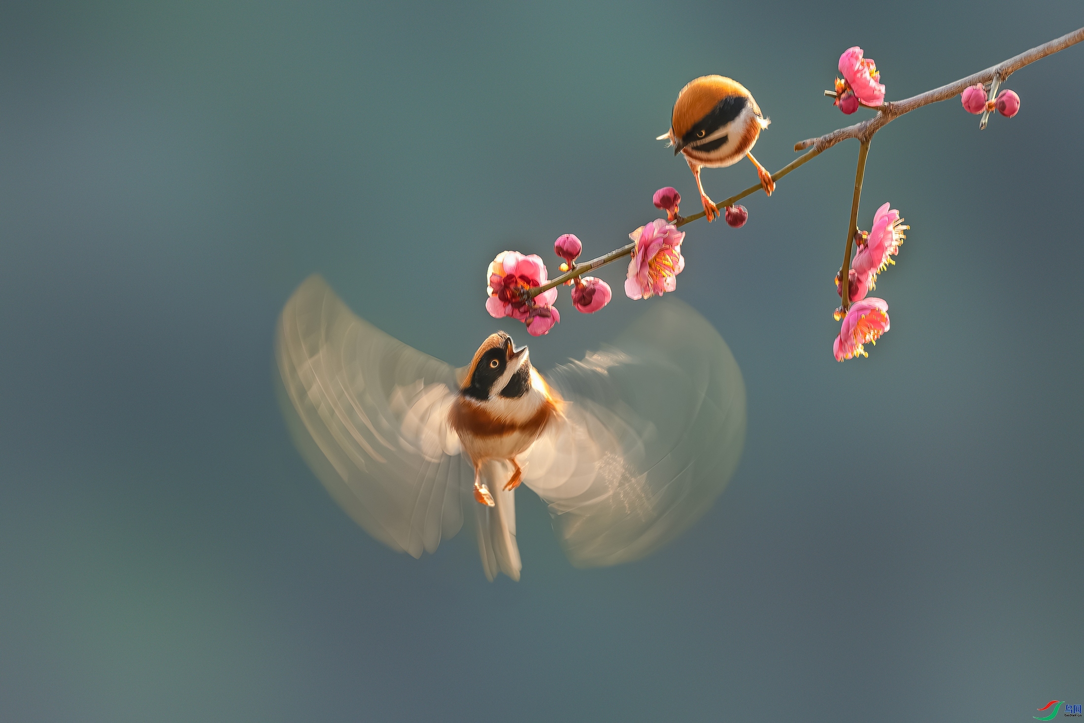2.21 Hsia��ʦ��Ʒ  �ִ�  �ٻ�2026��2��21�հ�����ҳ����.jpg