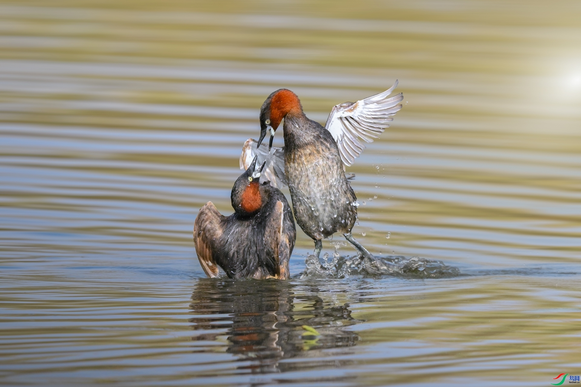 2.21 ��ƽ��ʦ��Ʒ  PT����   �ٻ�2026��2��21�հ�����ҳ����.jpg