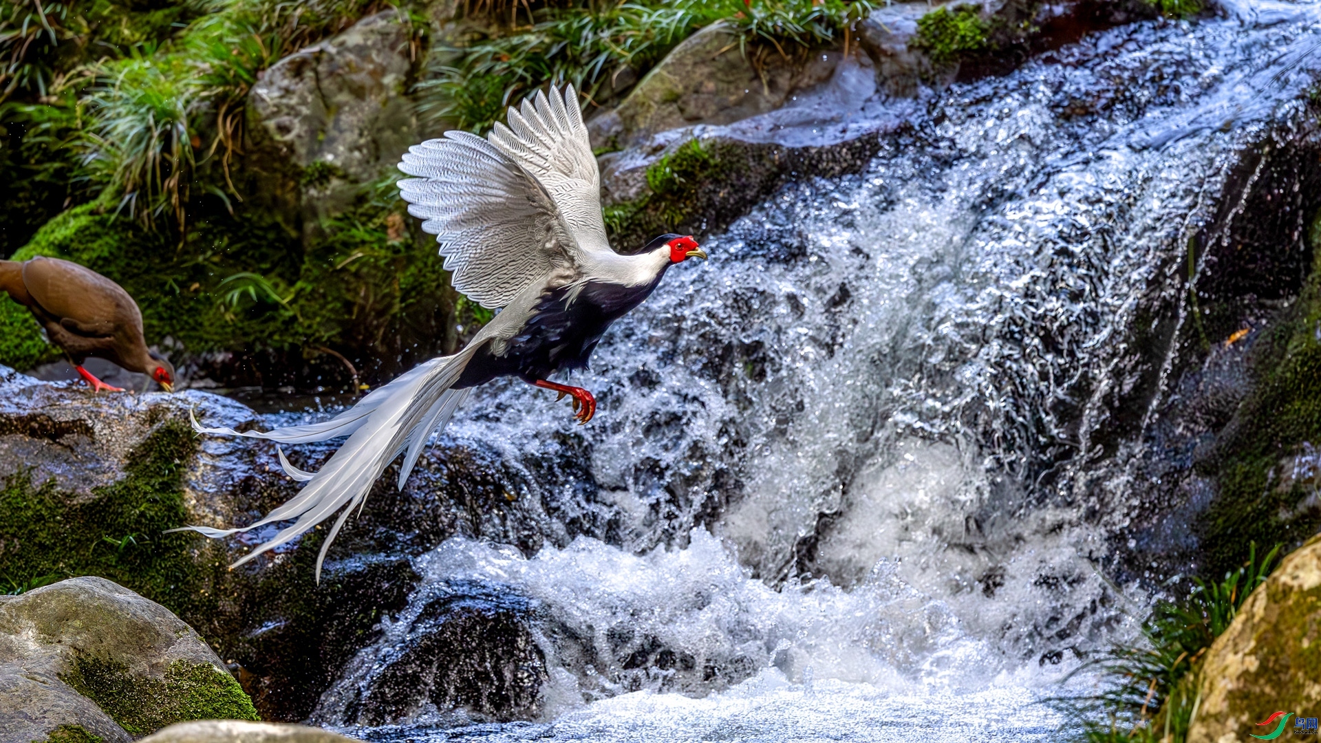 2.22 ��Ů��·����ʦ��Ʒ  ��Խ  �ٻ�2026��2��22�հ�����ҳ����.jpg