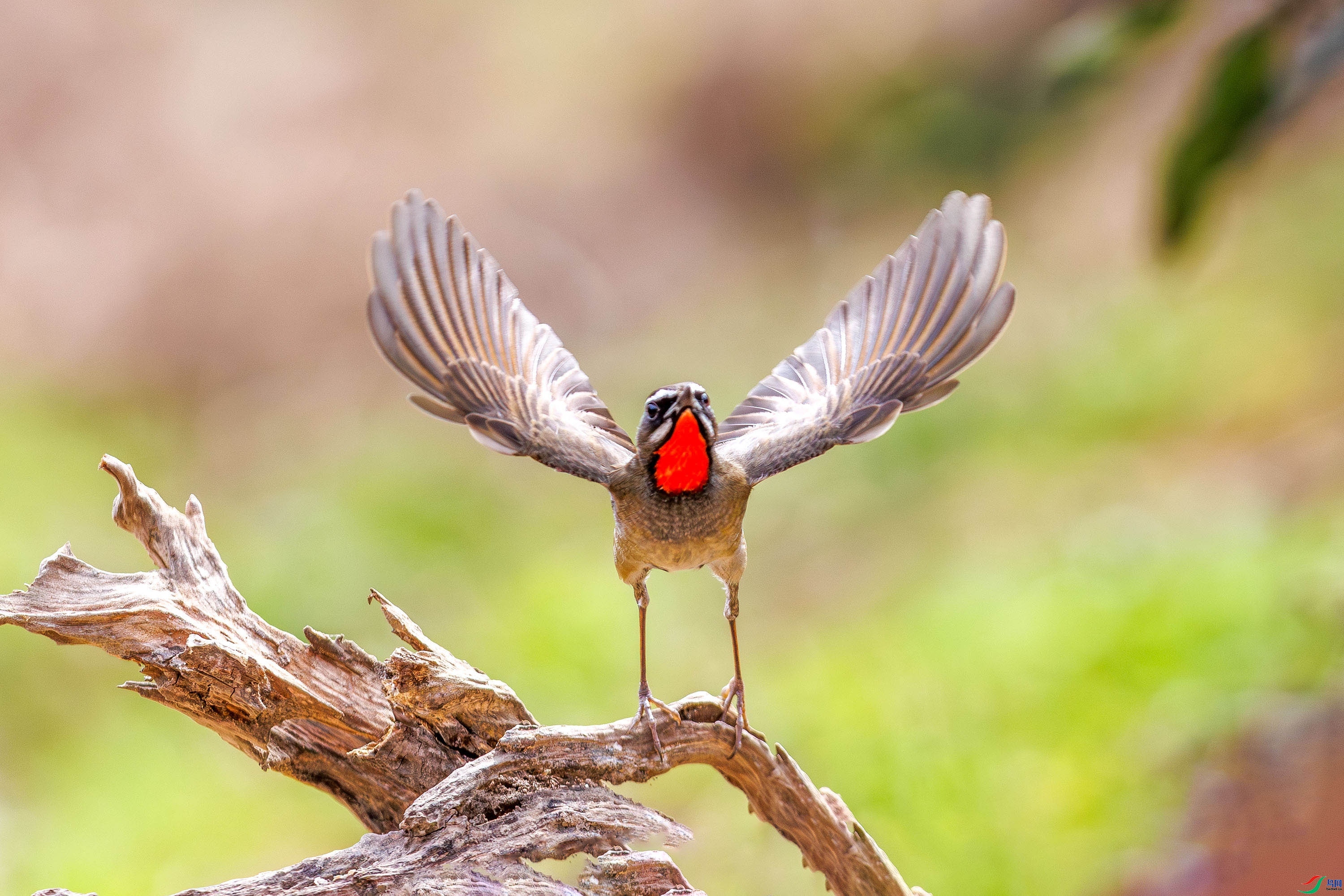 2.21 �����Ŀ���ʦ��Ʒ  ����   �ٻ�2026��2��21����Ӱʦ��ҳ����.jpg