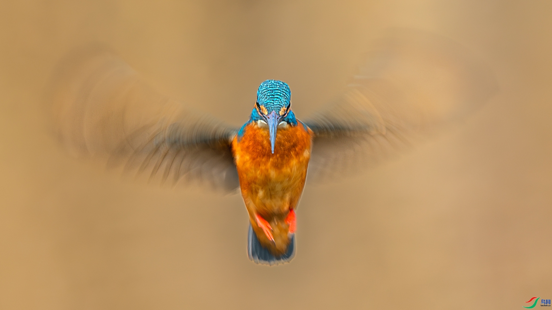 2.23 ��Ů��·����ʦ��Ʒ  ��ͣ  �ٻ�2026��2��23��ÿ�ռ���.jpg