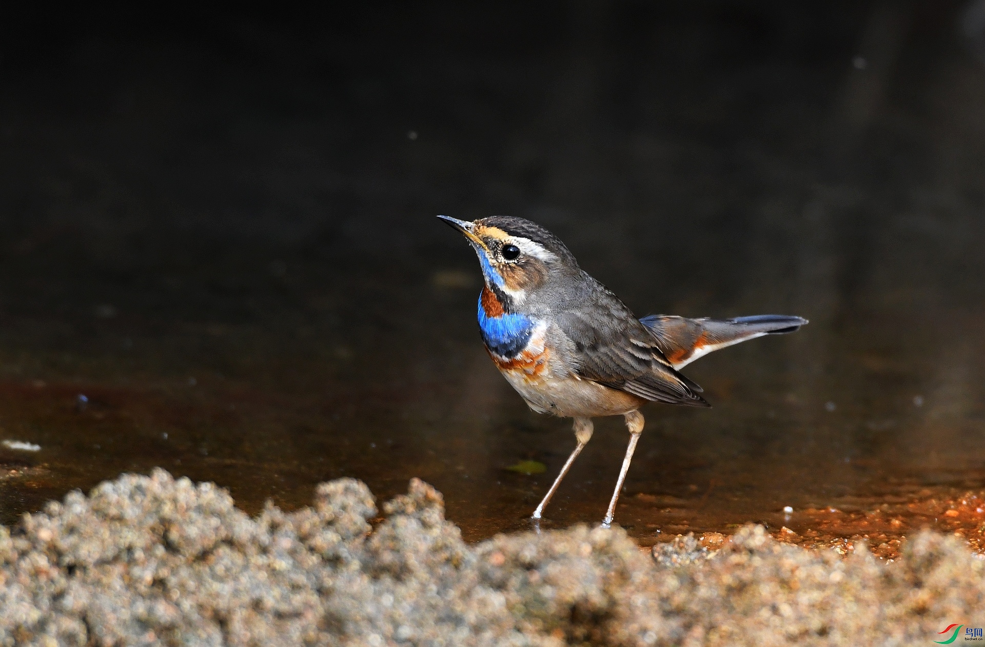 DSC_6629.jpg