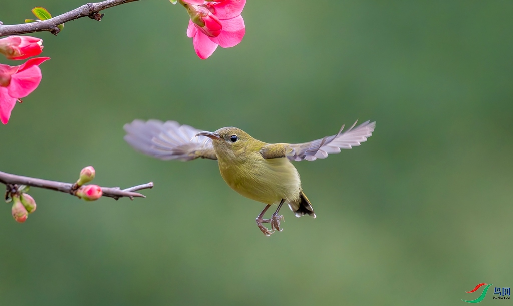 DSC_8151_����.jpg