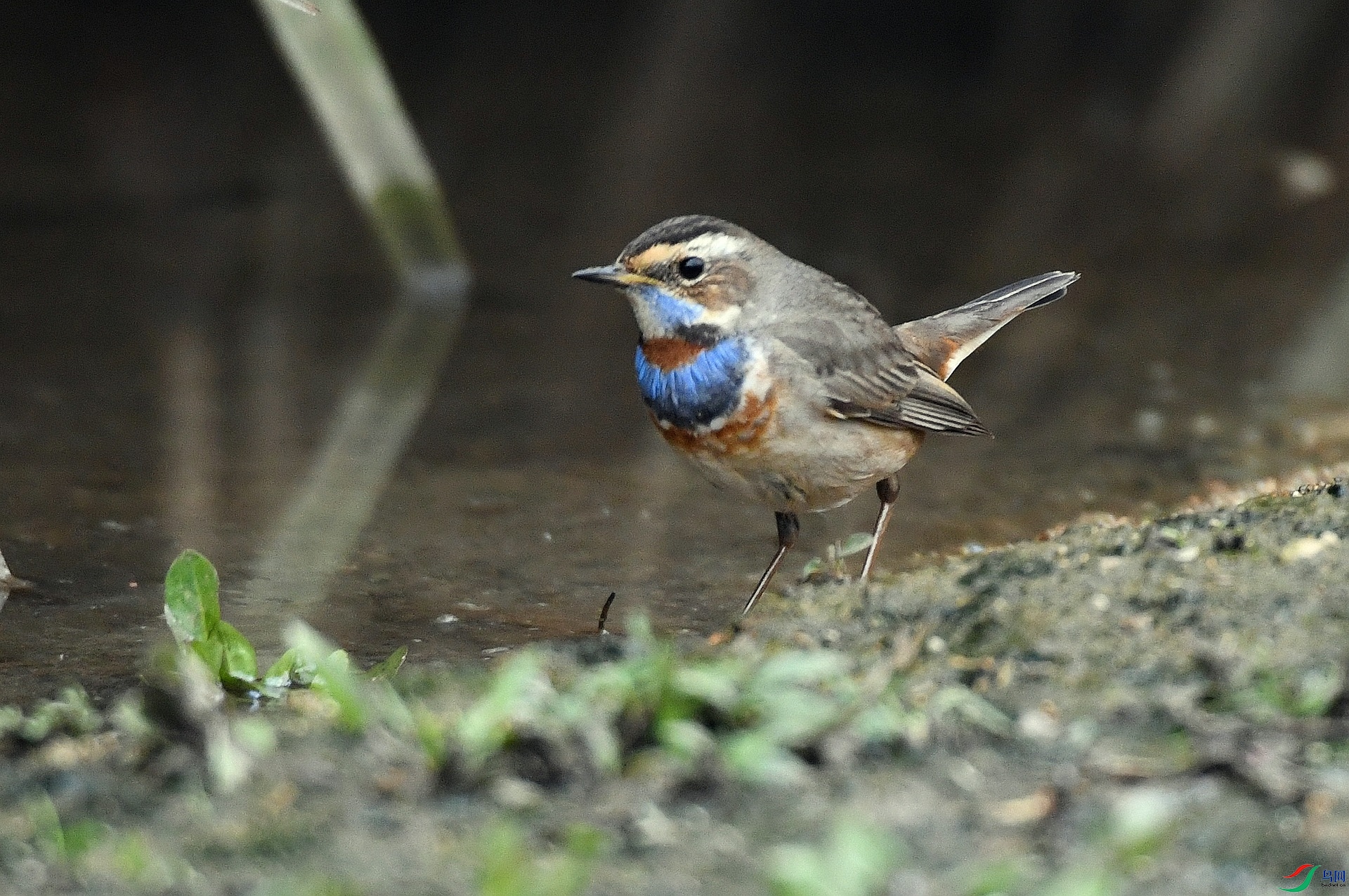 DSC_1890.jpg