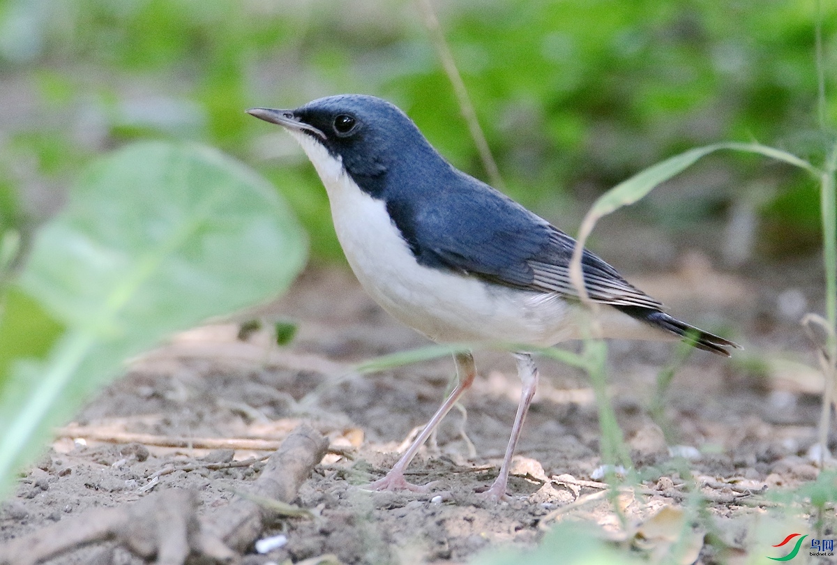 2026-109�����.JPG