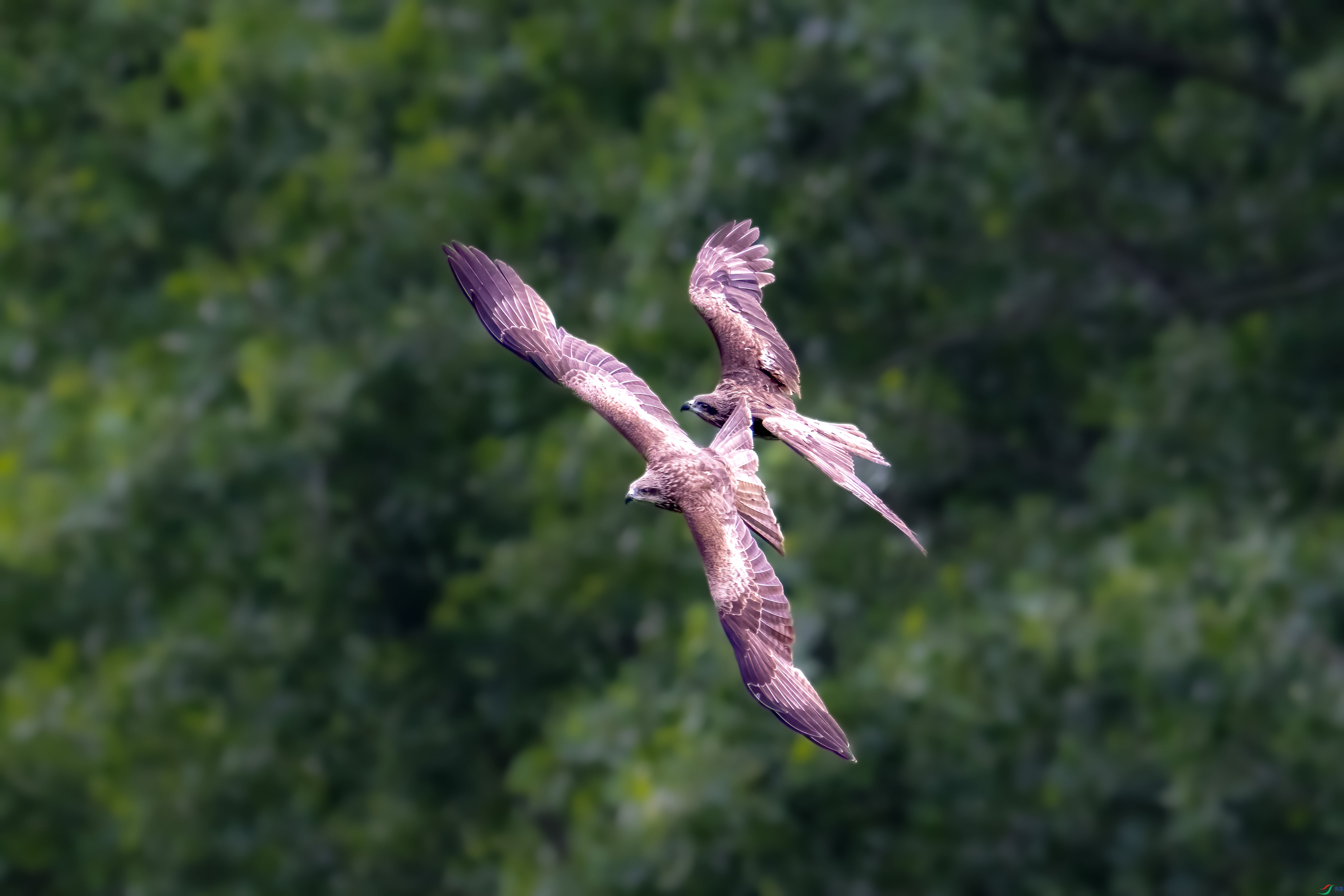DSC_7441.jpg