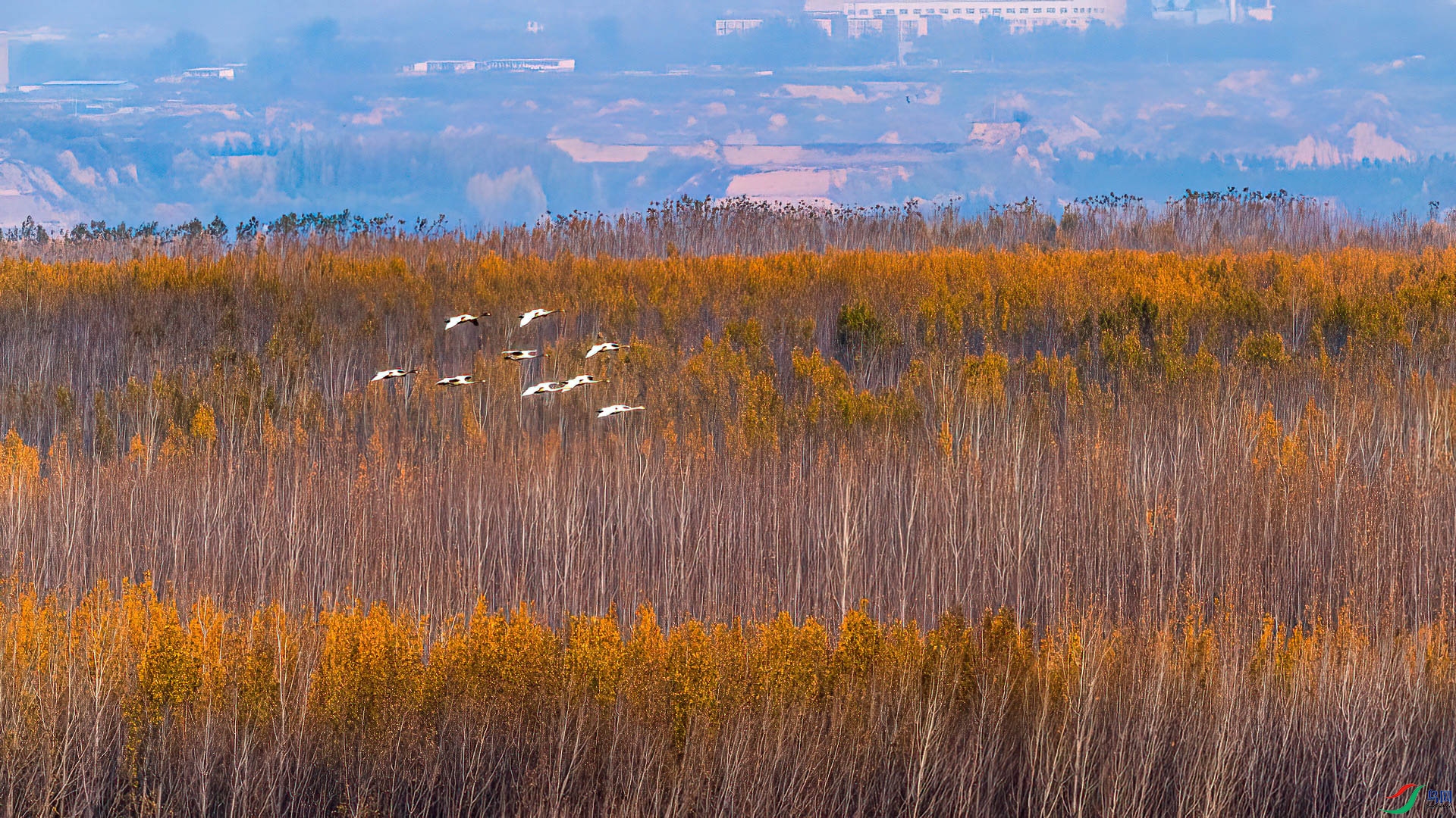 _DSC-7957.jpg