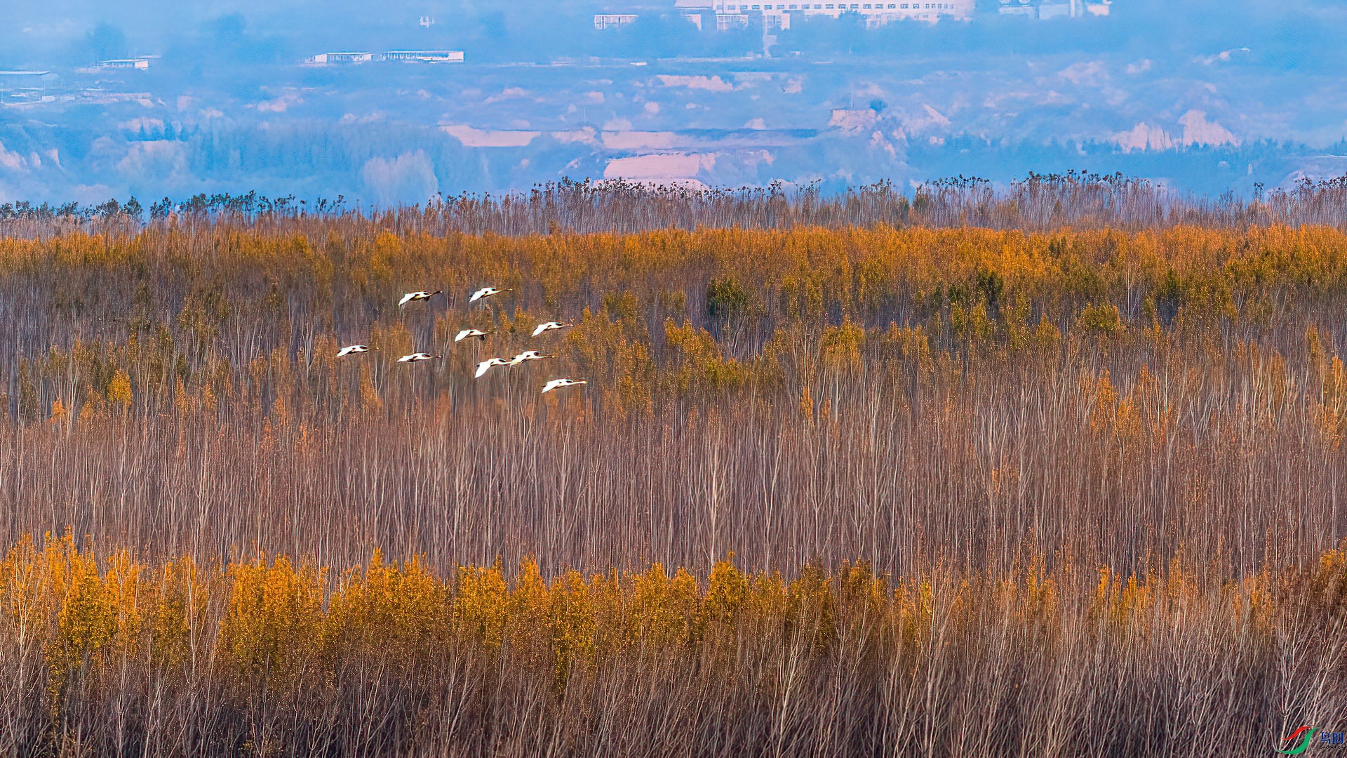 _DSC-7959.jpg