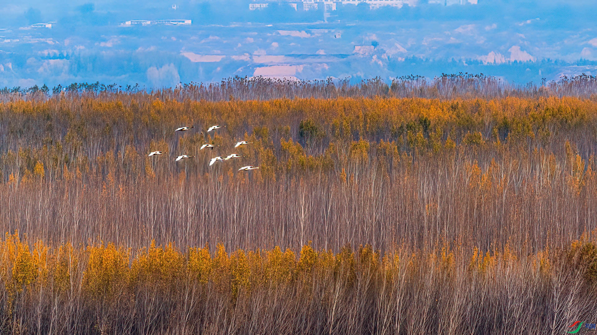 _DSC-7960.jpg