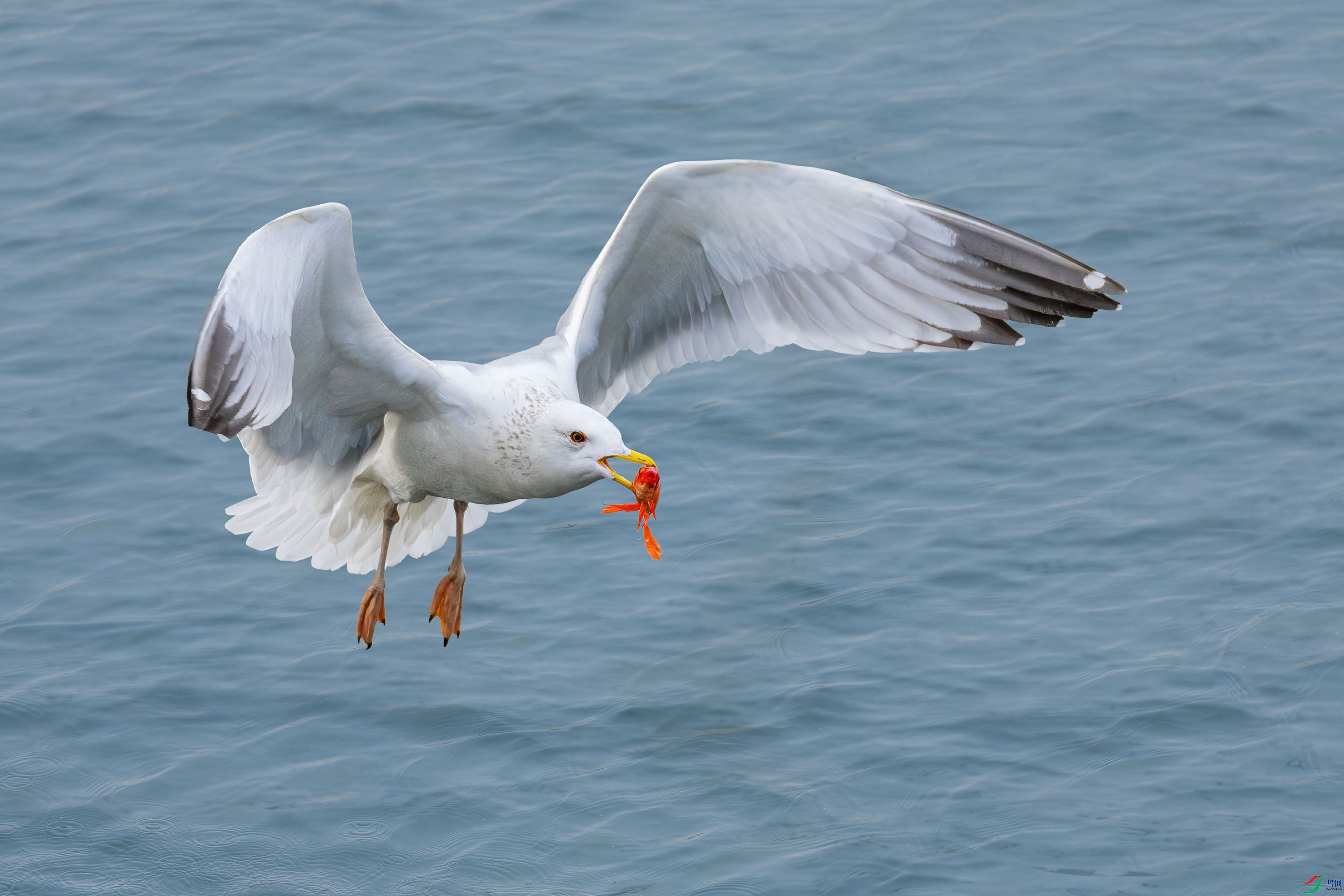 BK0A5273_01-20.jpg