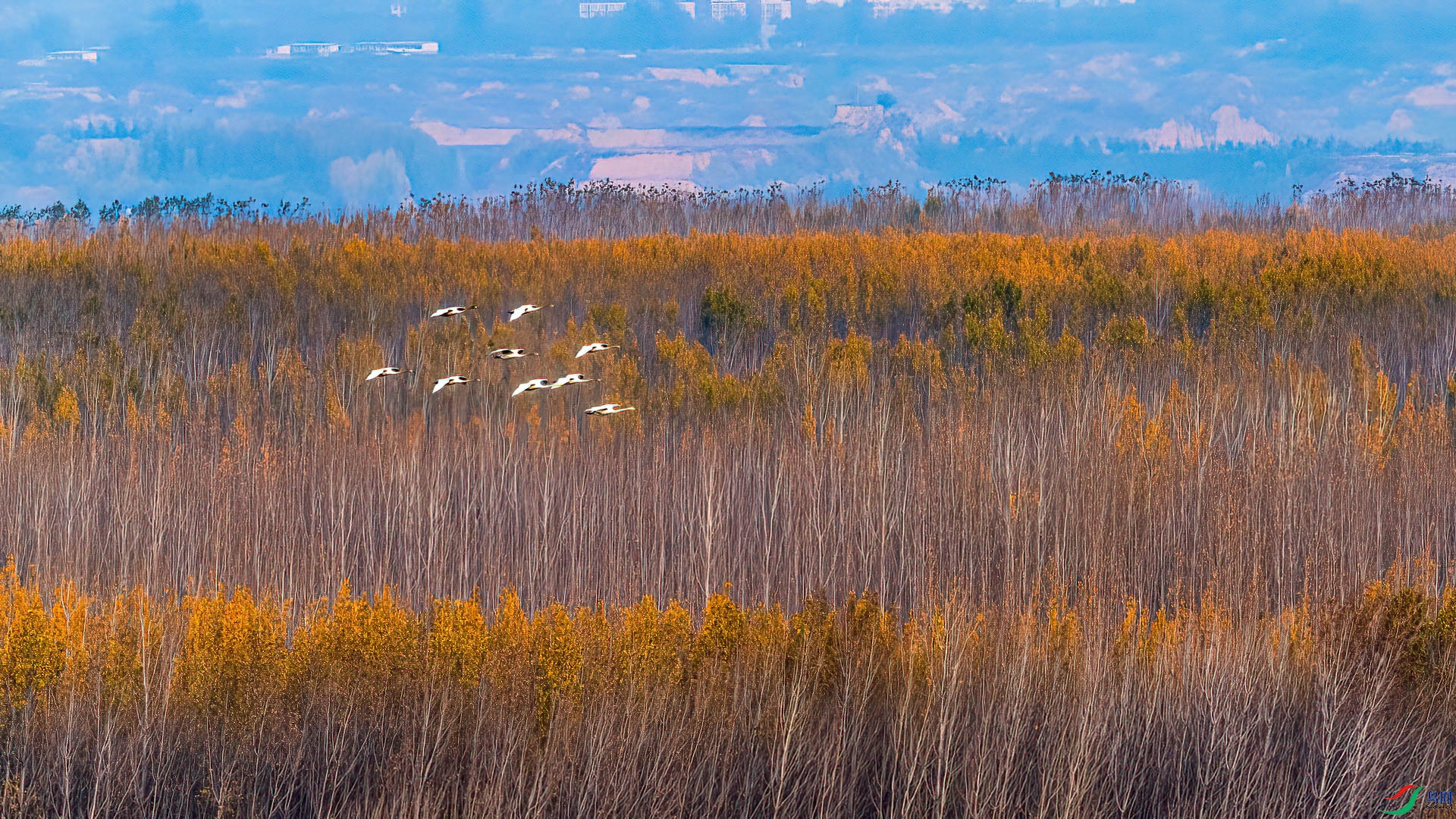 _DSC-7961.jpg