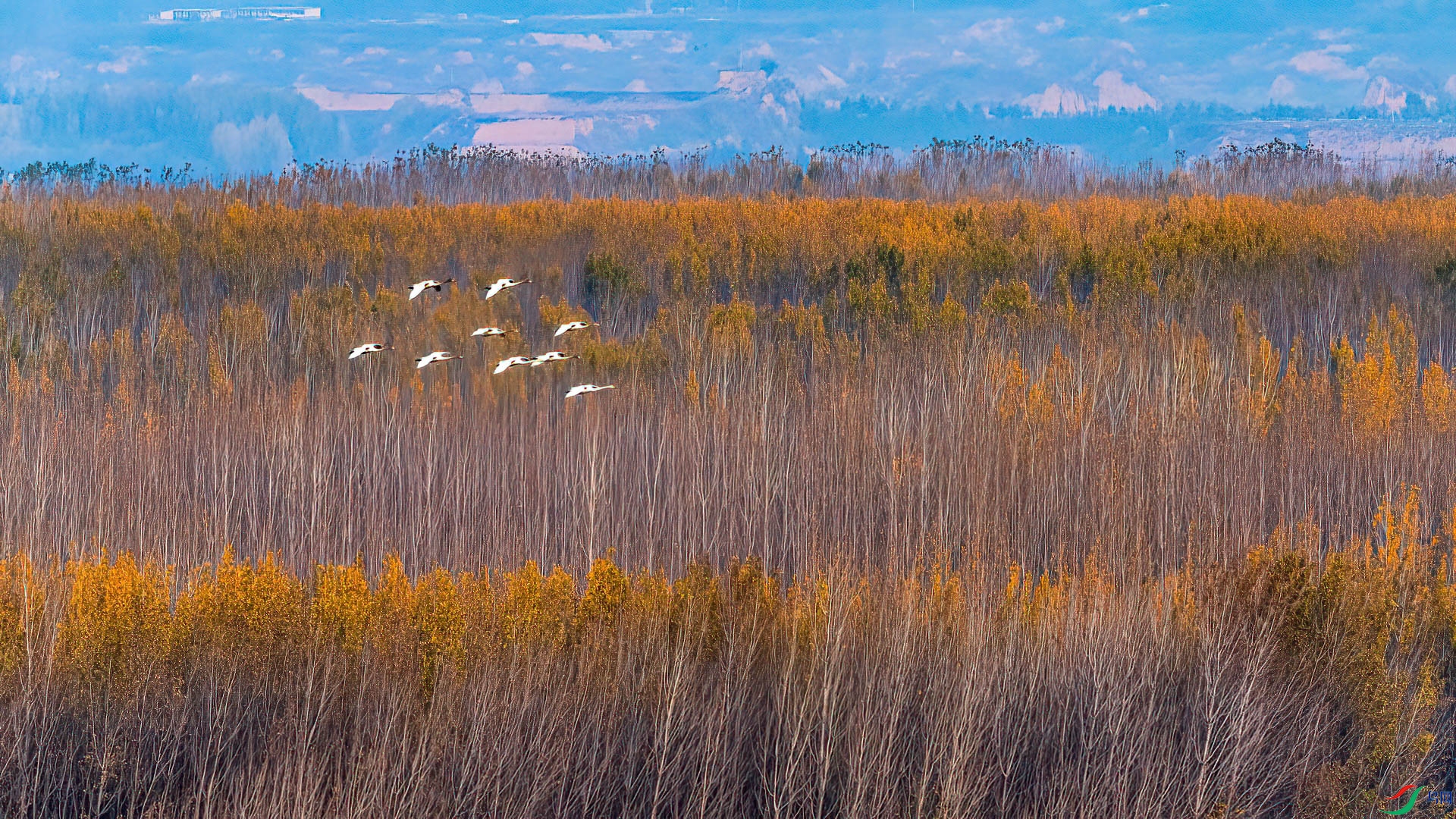 _DSC-7964.jpg