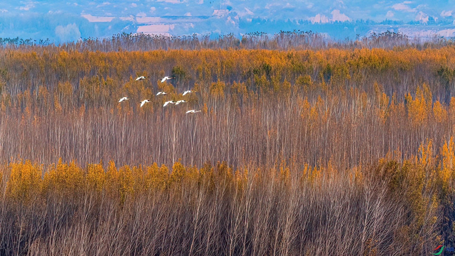 _DSC-7966.jpg