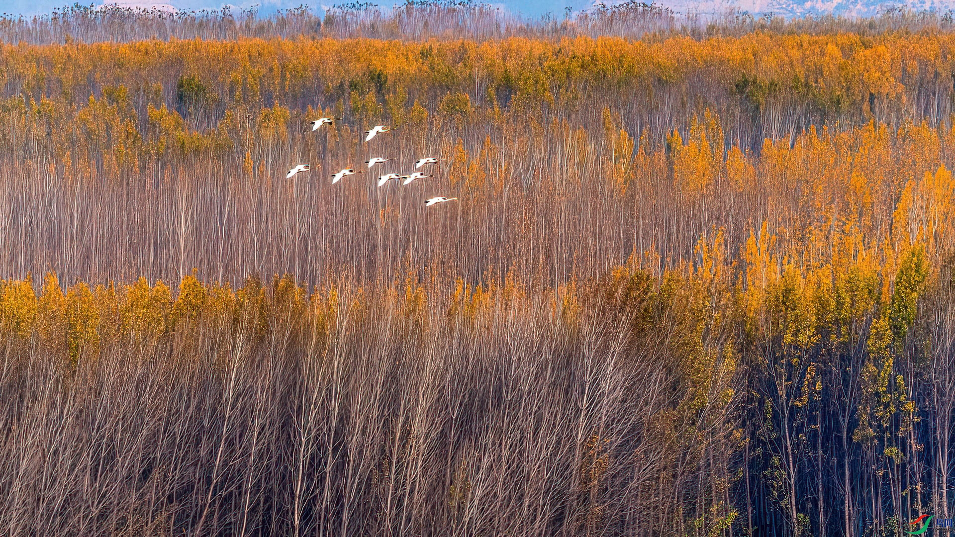 _DSC-7976.jpg