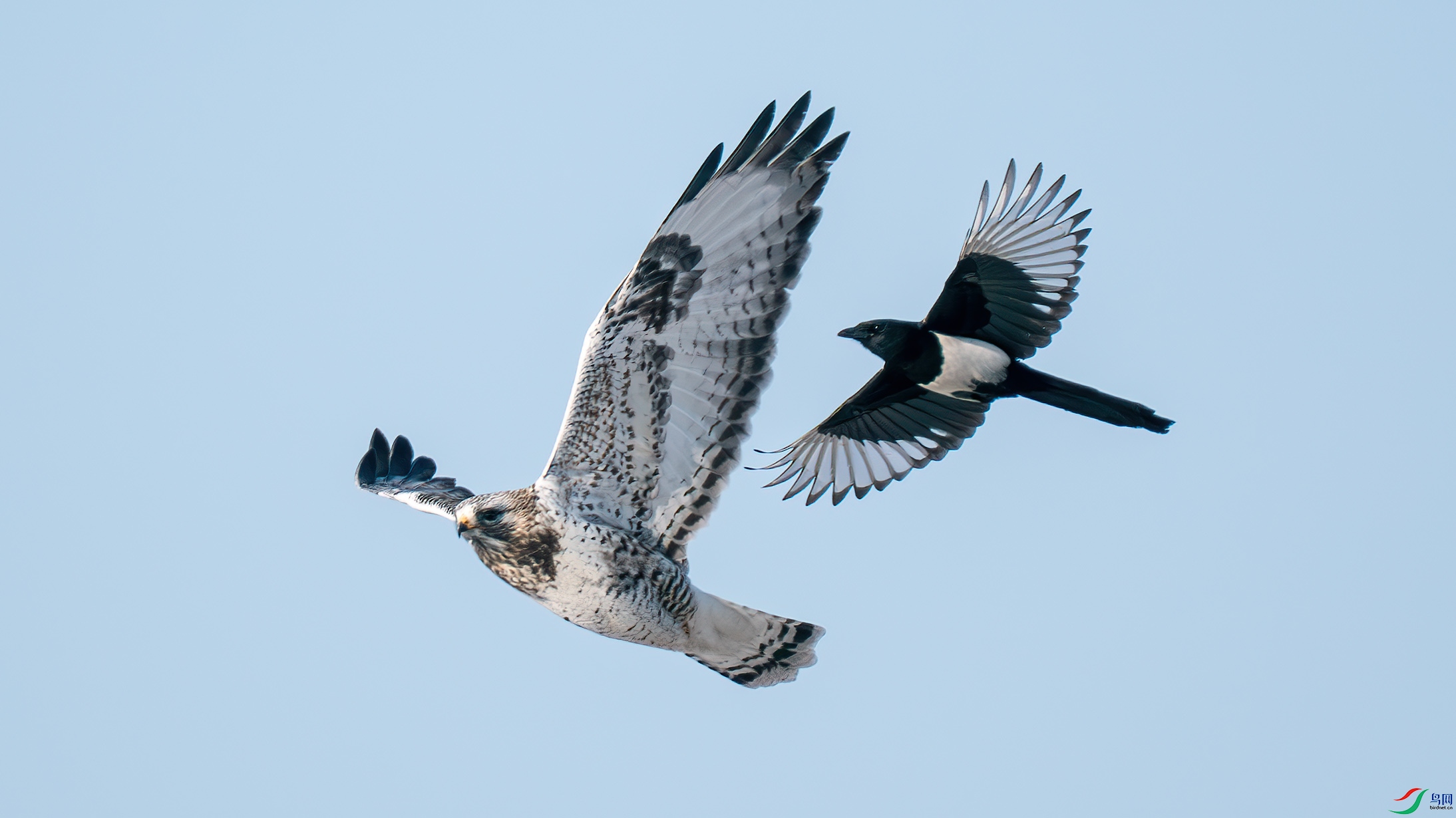 DSC03209-1.jpg