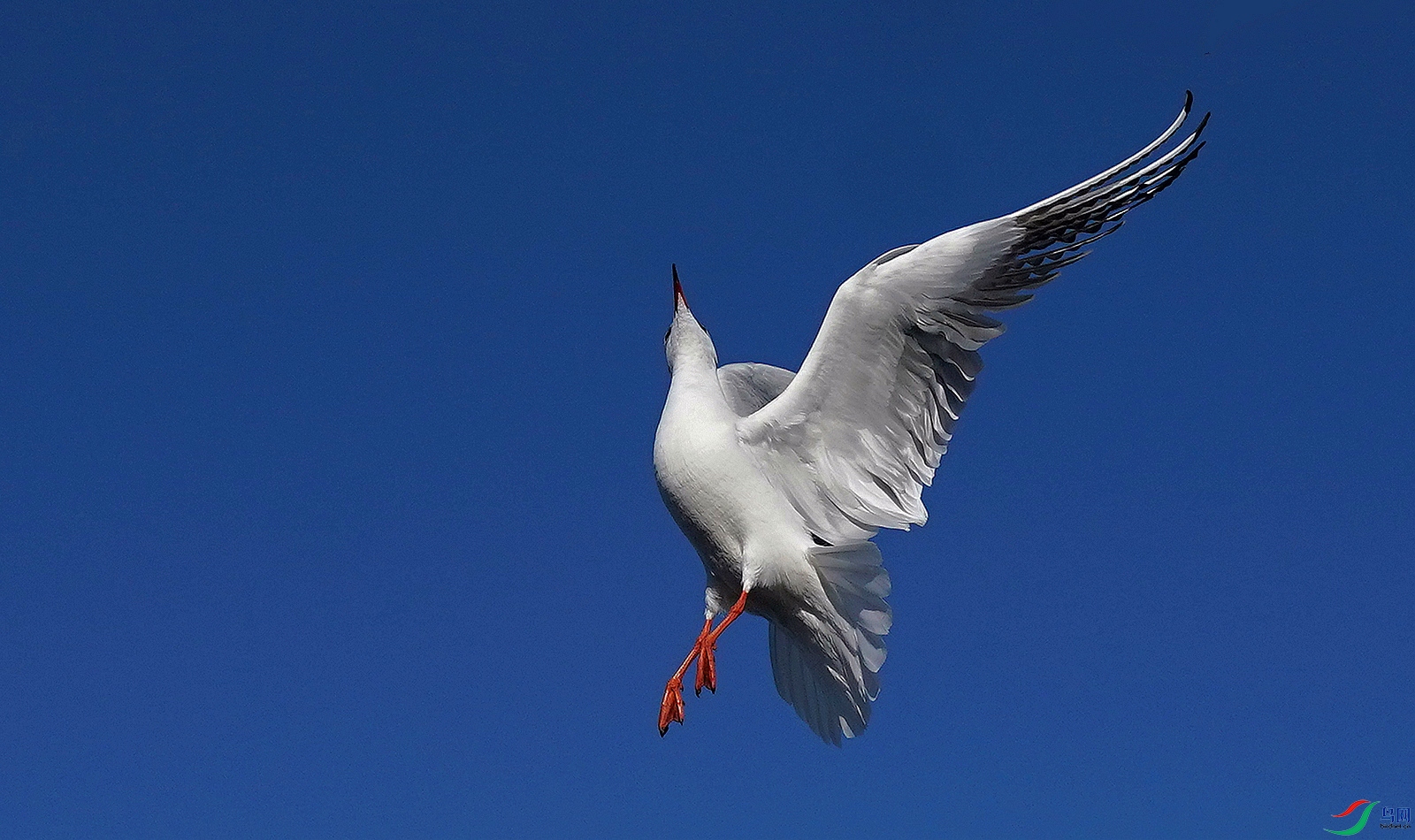 DSC02793.JPG