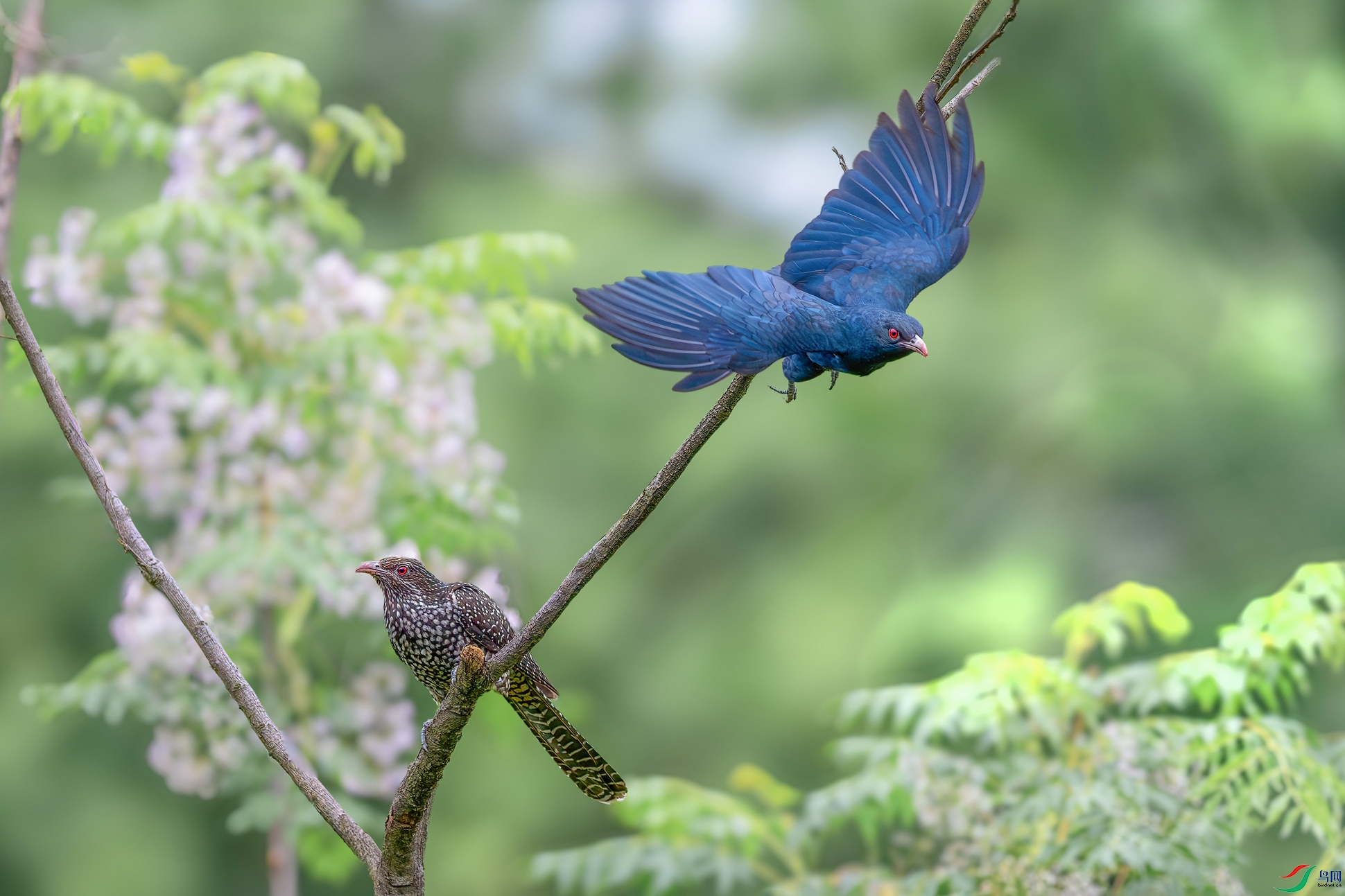 DSC_0450-����ǿ-NR ���� 301.jpg