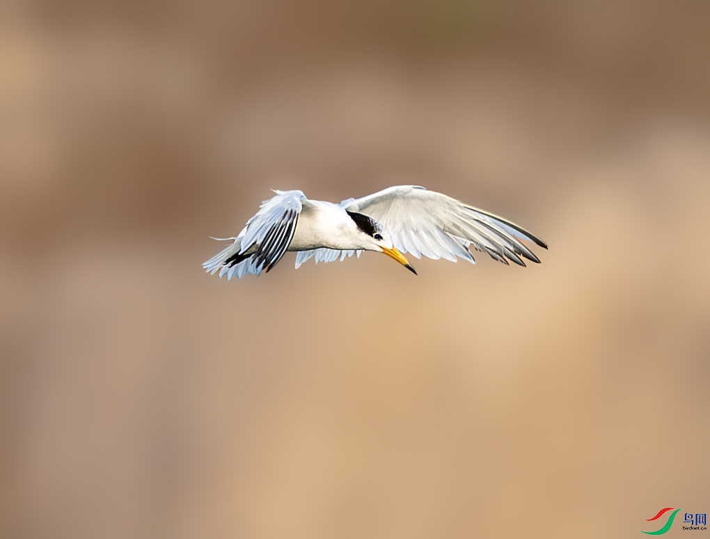 673A9537 ����.jpg