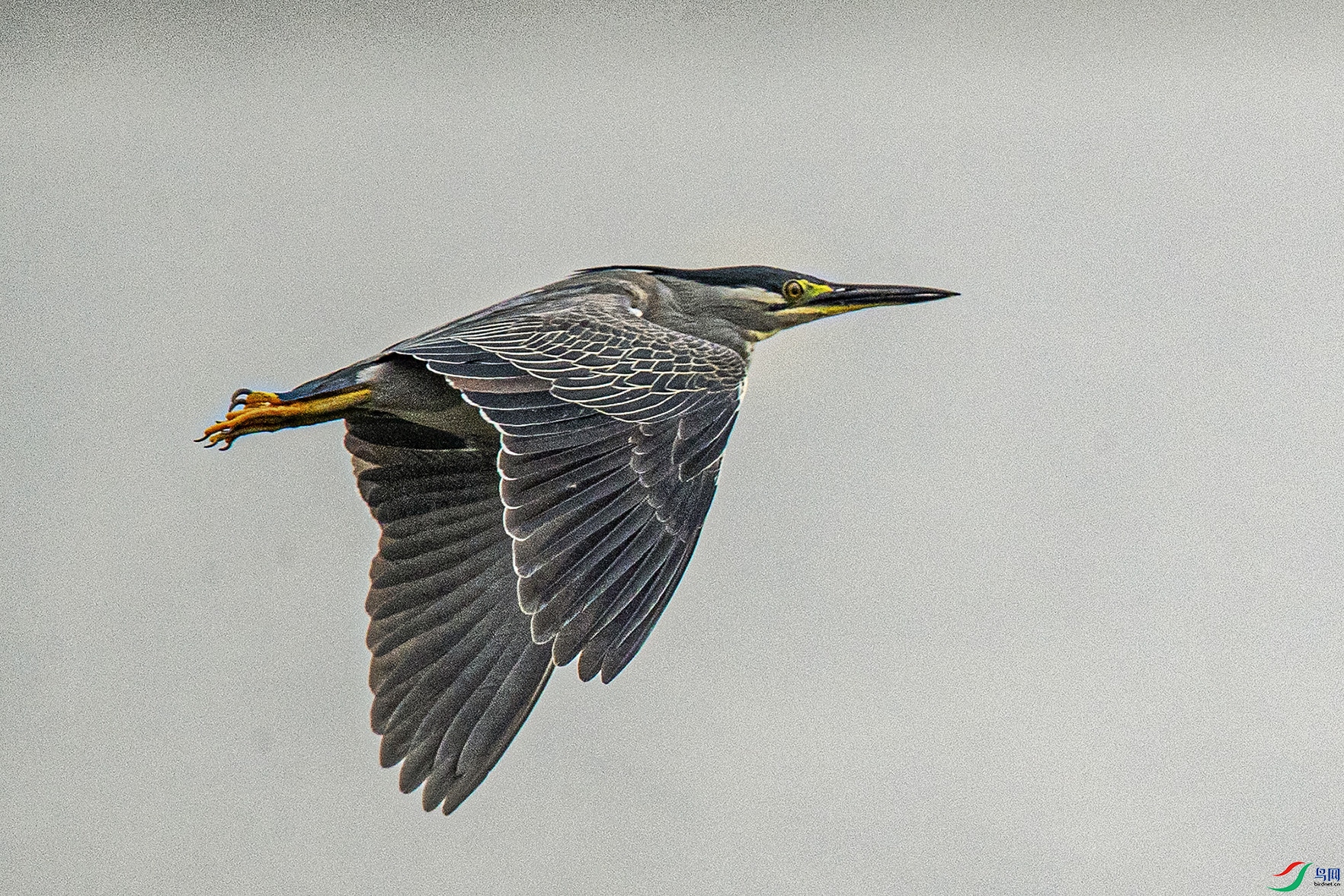 _90I0760 ���� 2.jpg