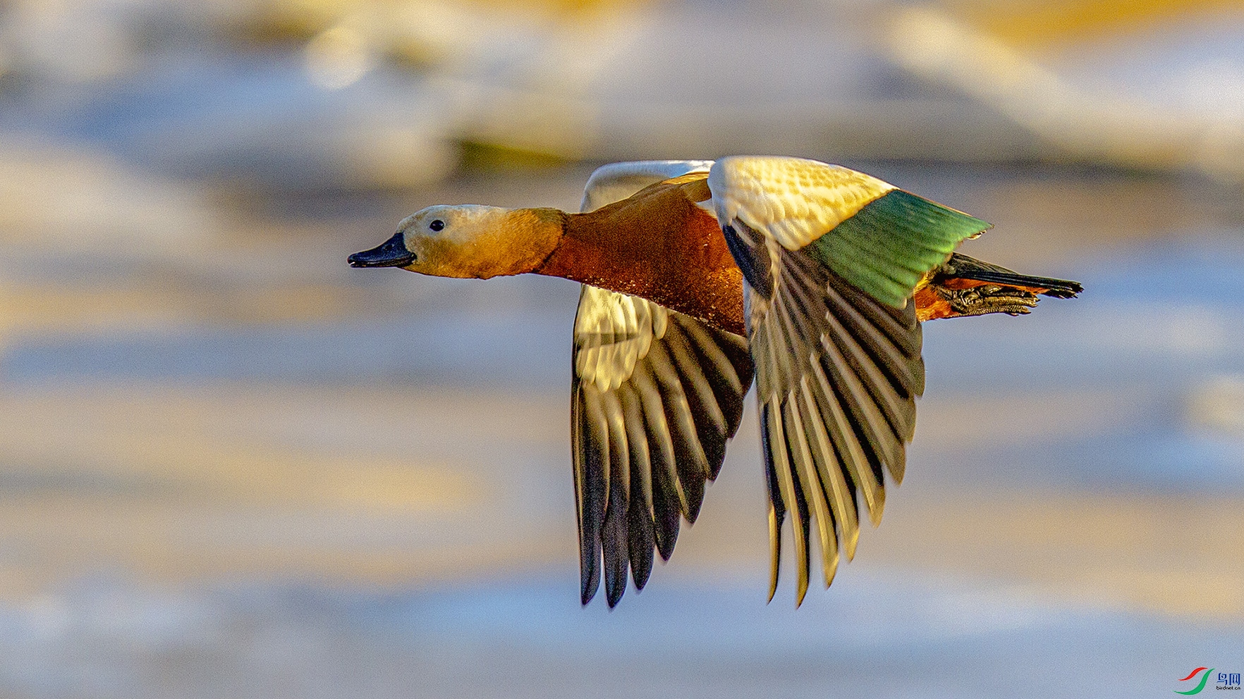 _MG_9477 ���� 2.jpg