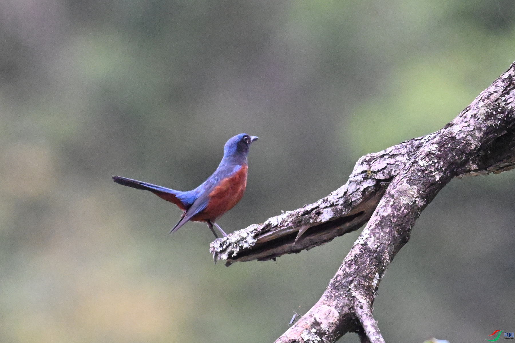 DSC_1897.JPG