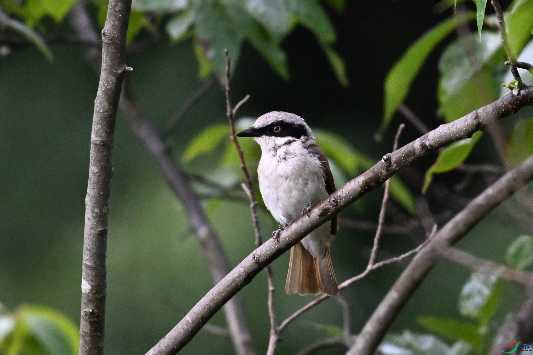 DSC_1935.JPG