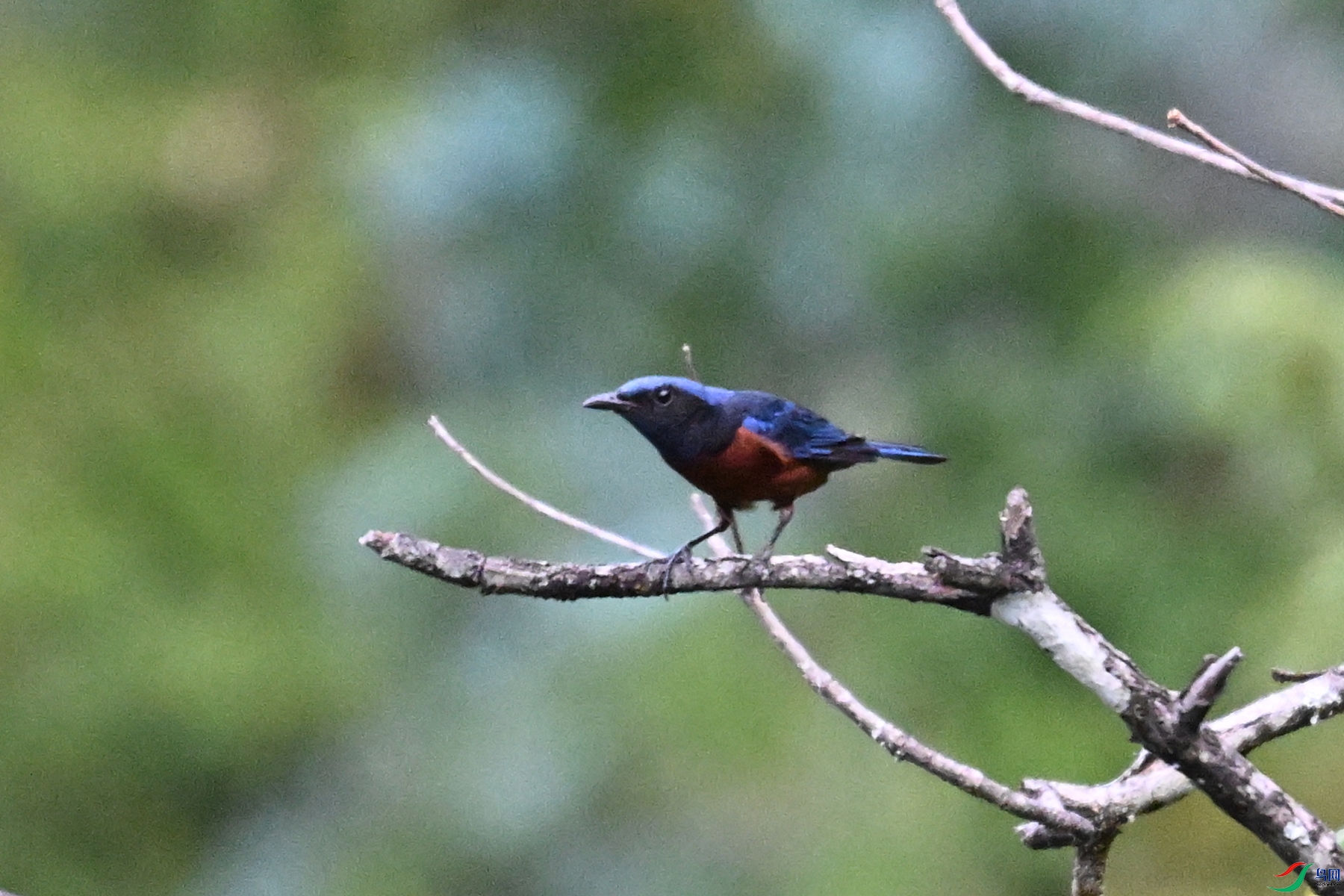 DSC_1928.JPG
