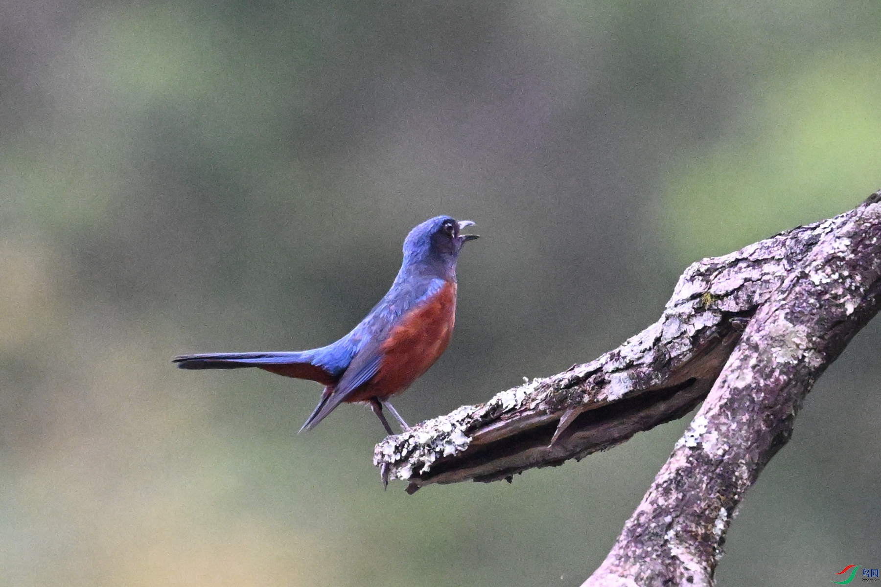 DSC_1899.JPG