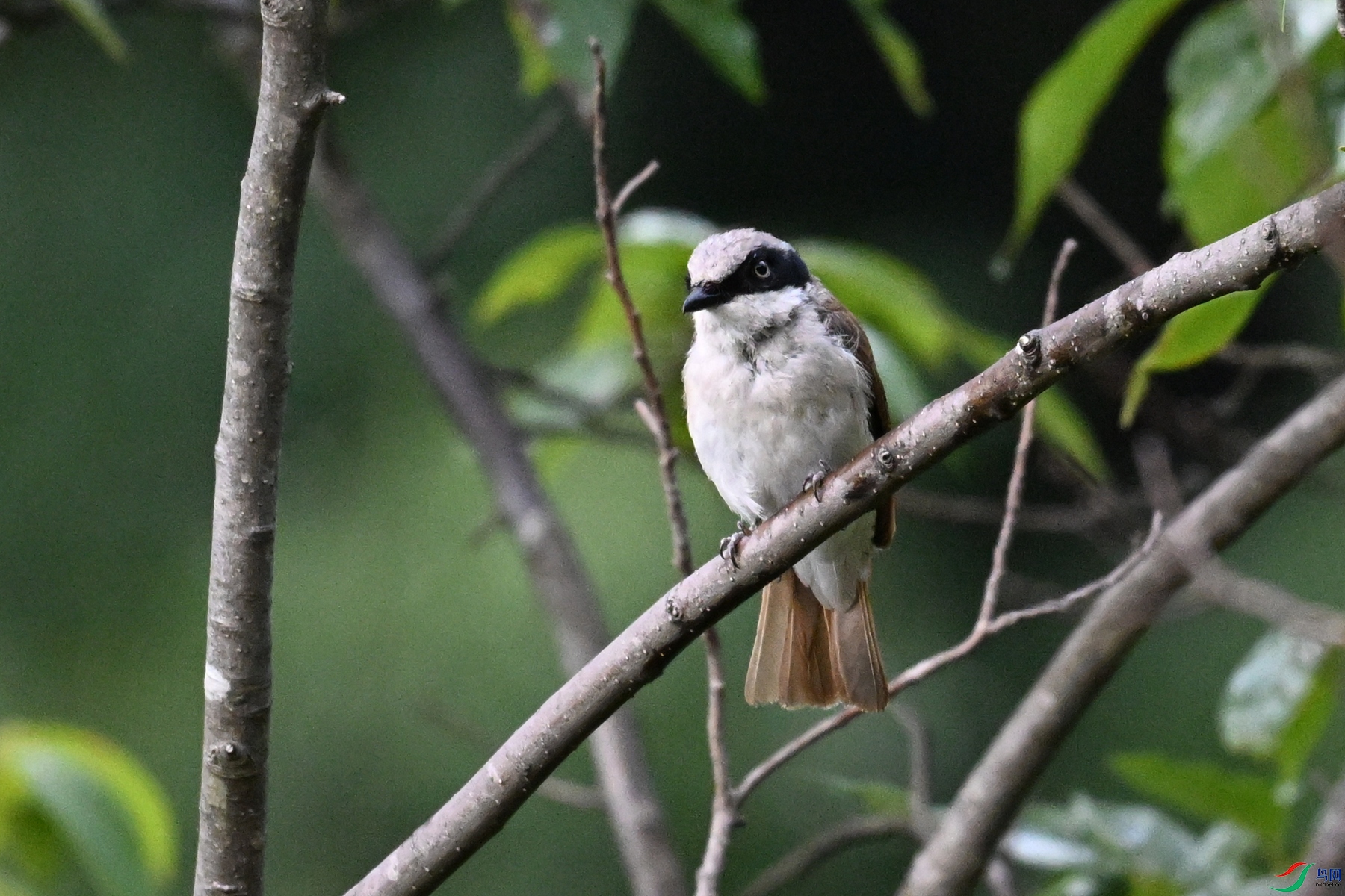 DSC_1940.JPG