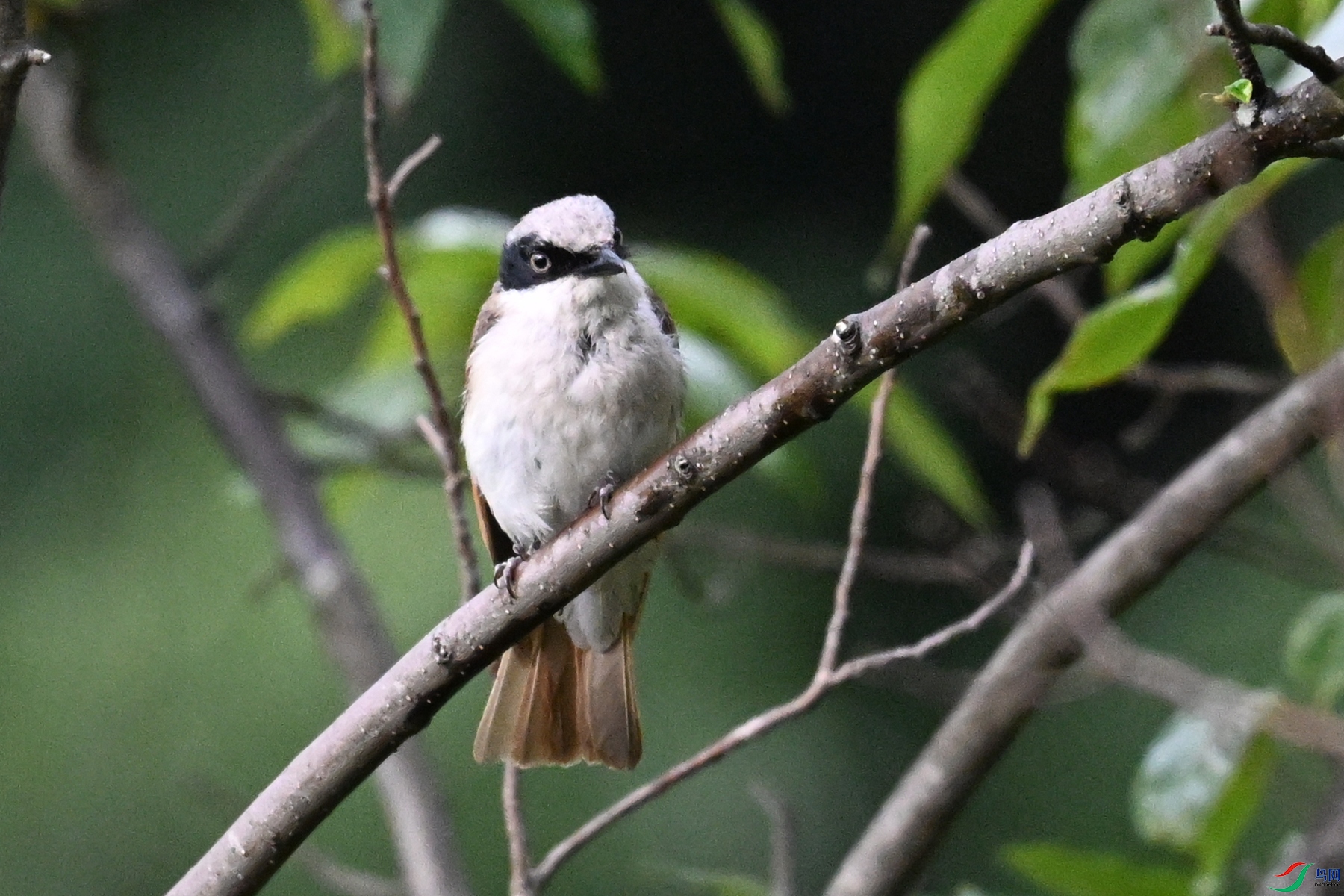 DSC_1944.JPG
