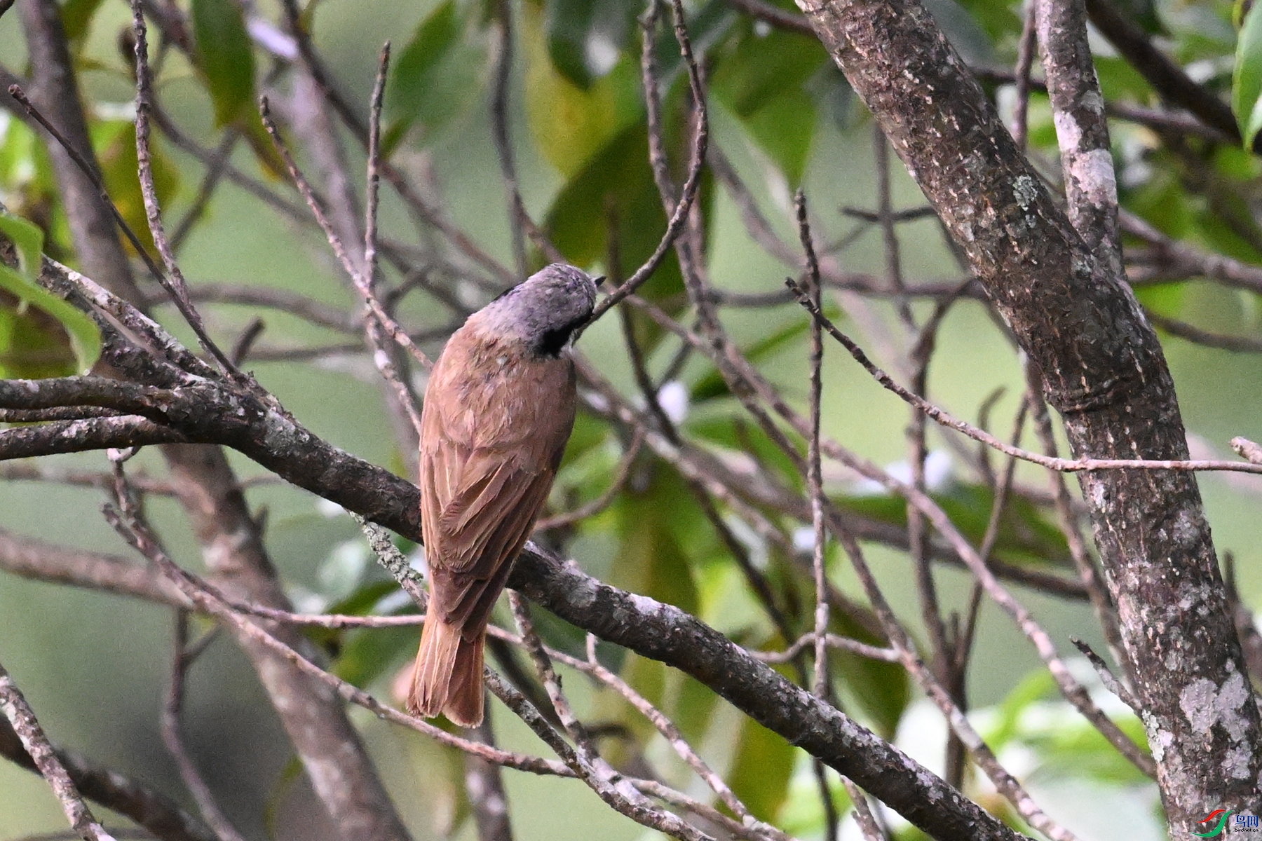 DSC_1953.JPG