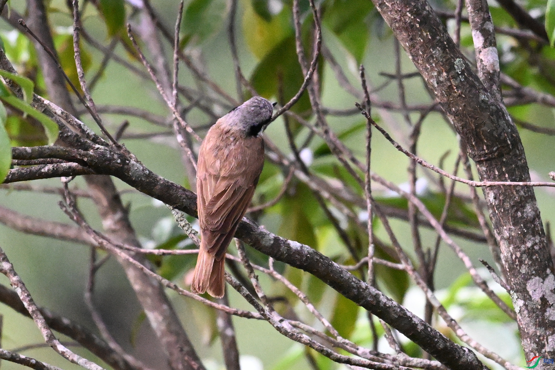 DSC_1954.JPG